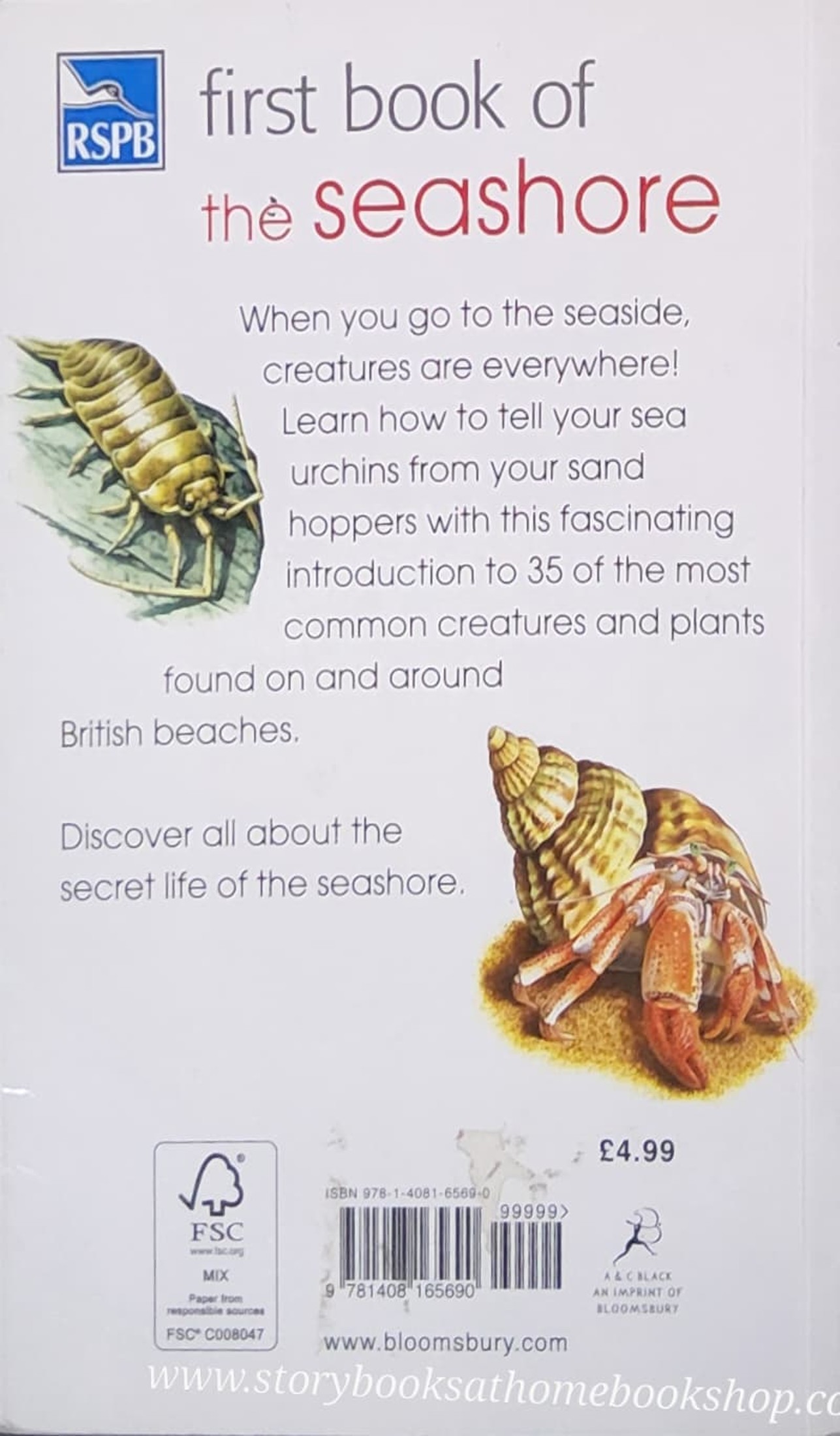 KNOWLEDGE BOOK** ♥️RSPB FIRST BOOK OF THE SEASHORE