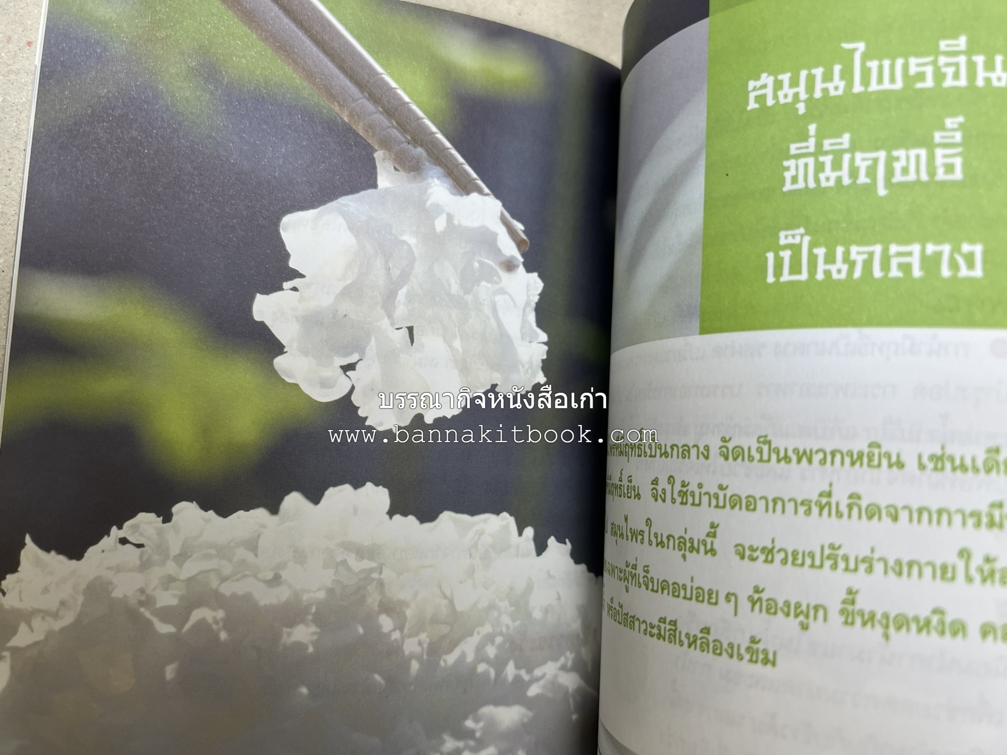 มหัศจรรย์สมุนไพรจีน โดย : บริษัทหลักทรัพย์จัดการกองทุน กสิกรไทย จำกัด.