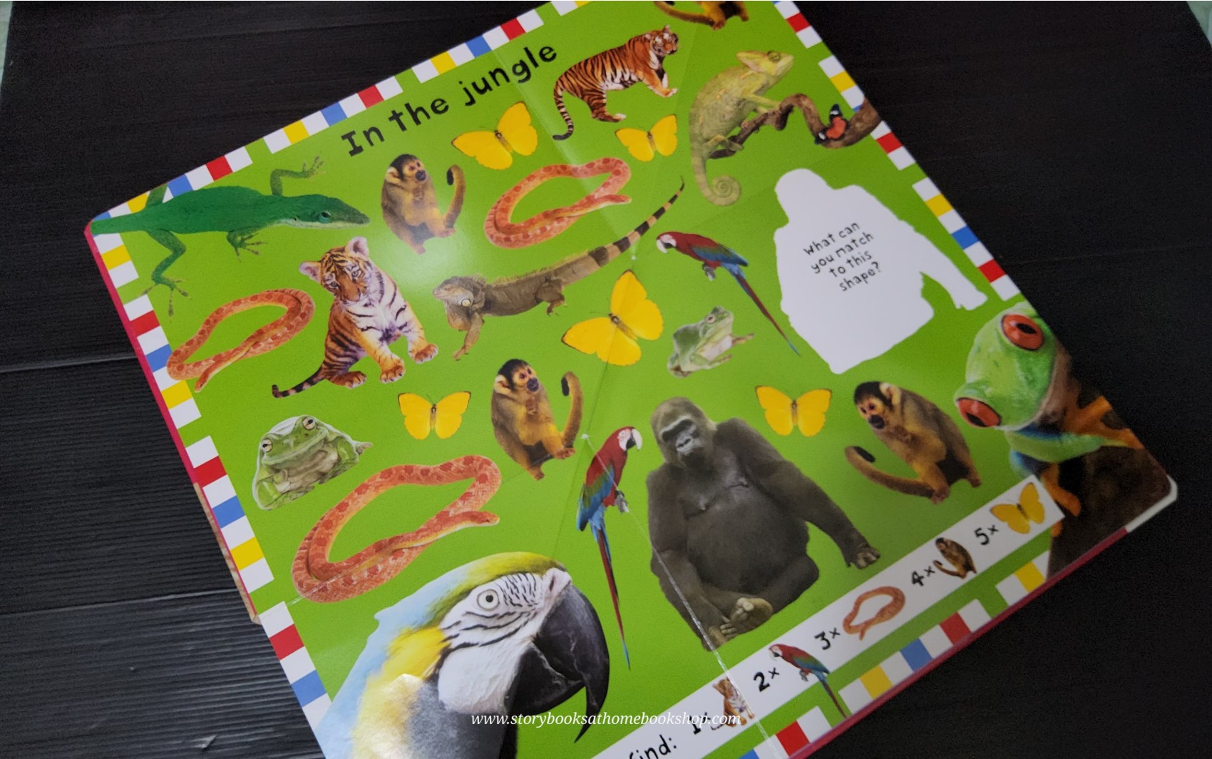 FOLD OUT BOOK ** 🍅🍓A FOLD OUT BOOK AT THE ZOO