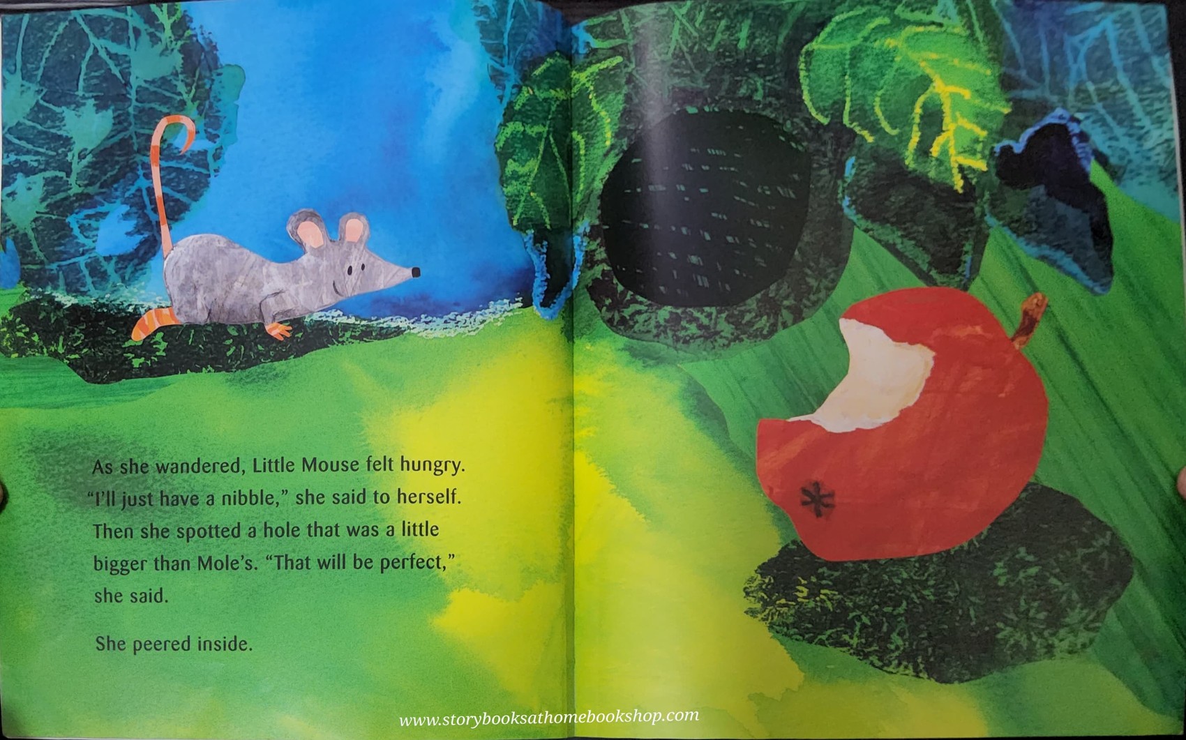 **หนังสือนิทานปกอ่อน** 🍅🍅A NEW HOUSE FOR MOUSE BY PETR HORACEK