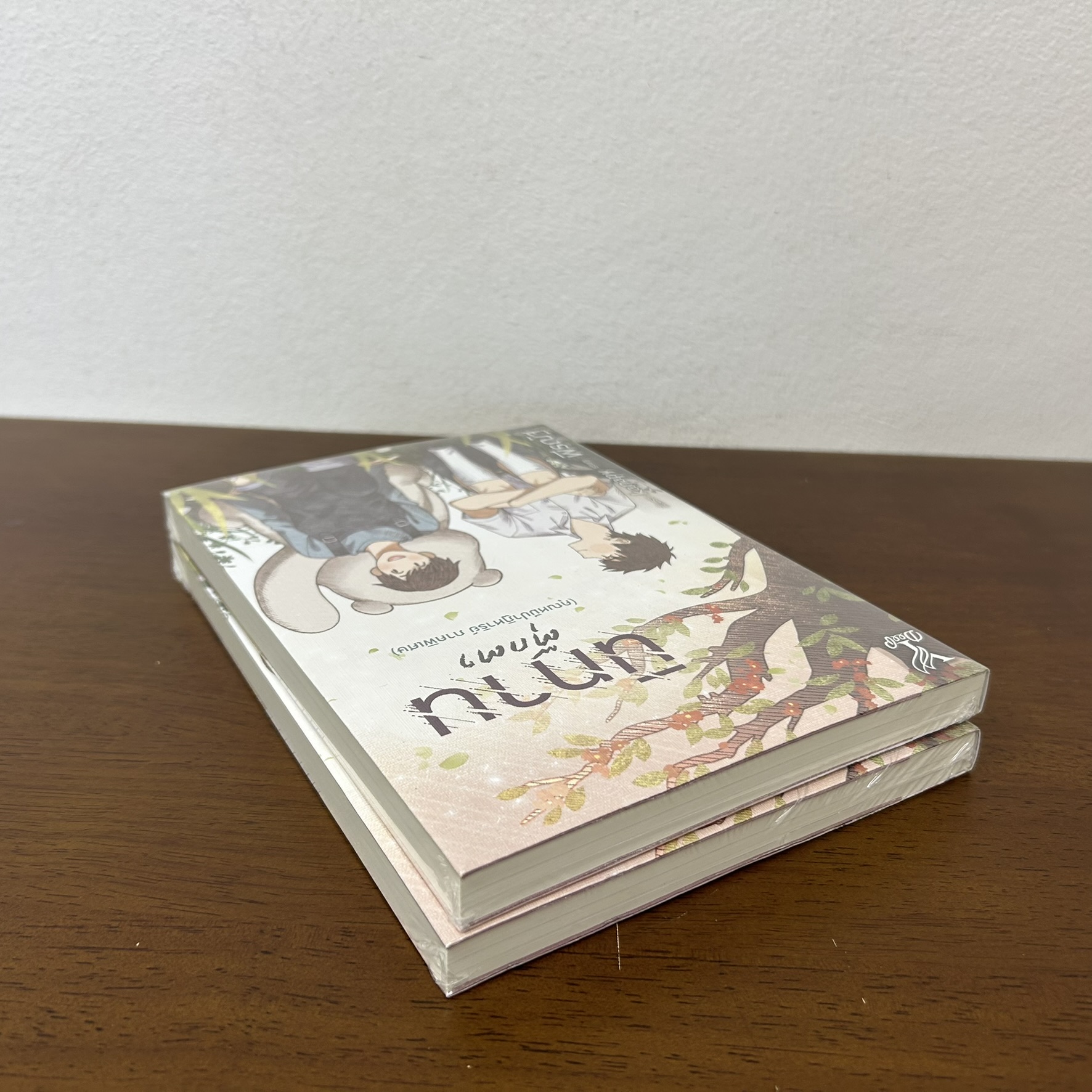 [YAOI] นิทานตุ๊กตา คุณหมีปาฏิหาริย์ ภาคพิเศษ ... พีรณัฐ (มือหนึ่งซีล) นิยายวาย DEEP