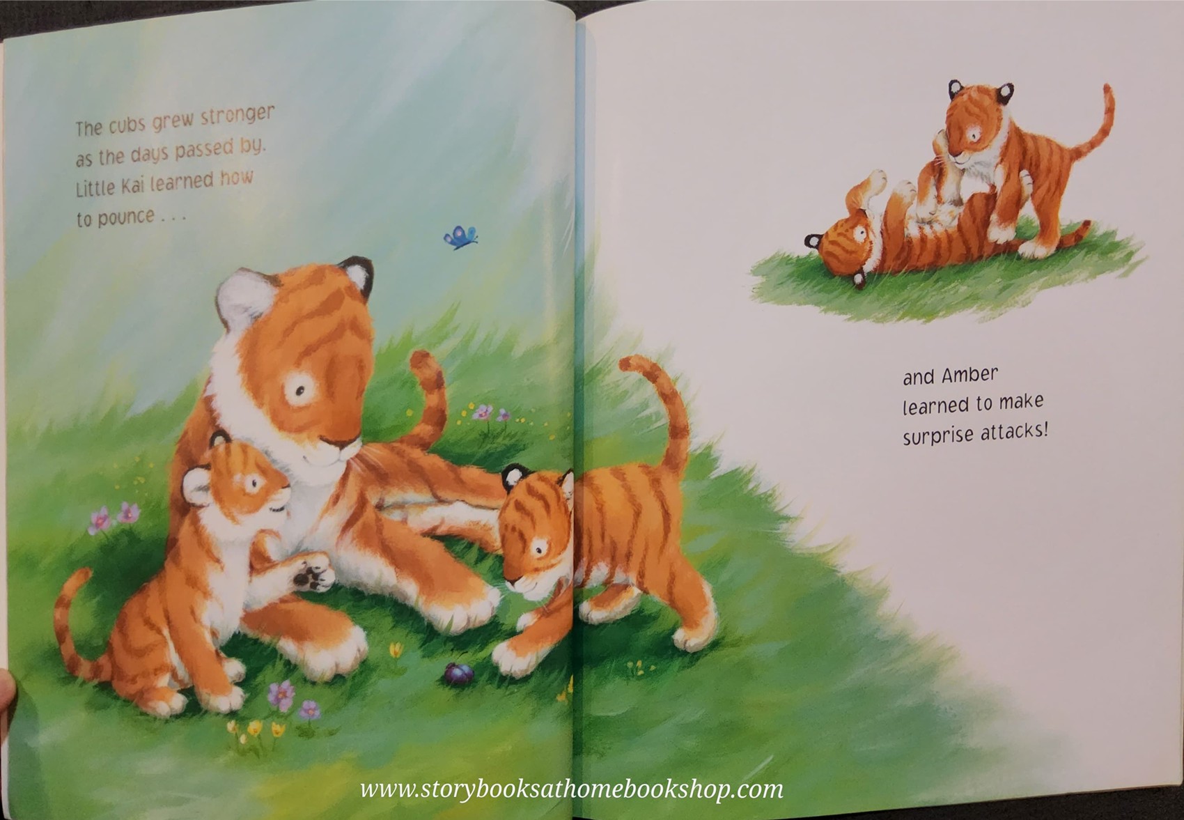 หนังสือนิทานปกอ่อน** 🍅🍅DON'T BE AFRAID,LITTLE ONES♥️♥️