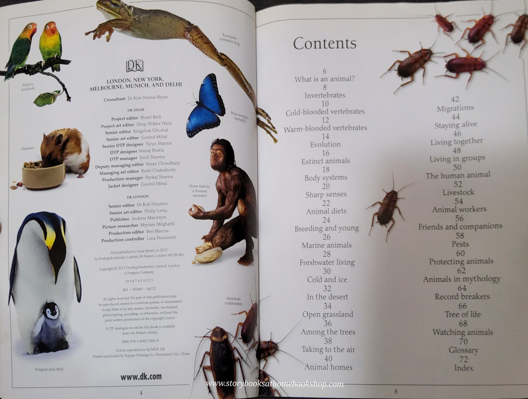 Knowledge Book** 🍅🍓DK Eyewitness ANIMAL