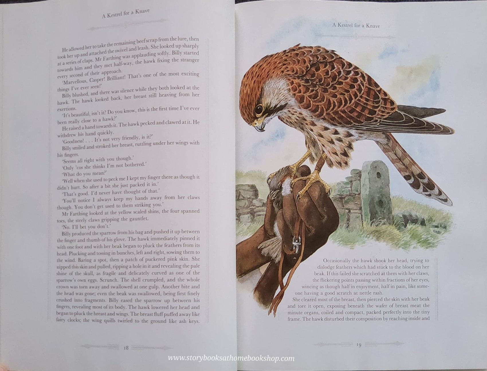 หนังสือนิทานปกแข็ง** 🍅🍓CLASSIC ANIMAL STORIES