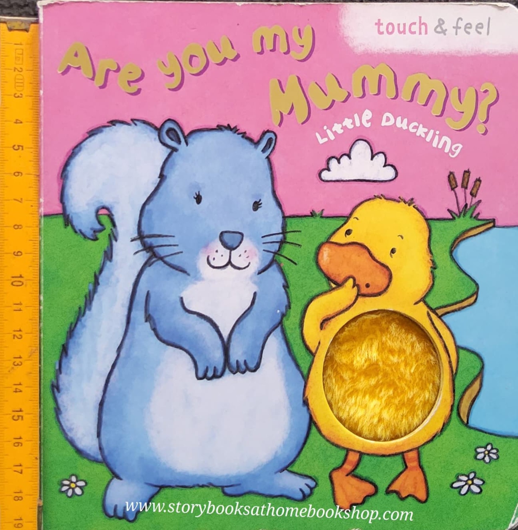 Board Book ** 🍅🍓Are you my Mummy? LITTLE DUCKLING