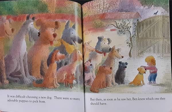 **หนังสือนิทานปกอ่อน** 🍓🍓SCRUMPY