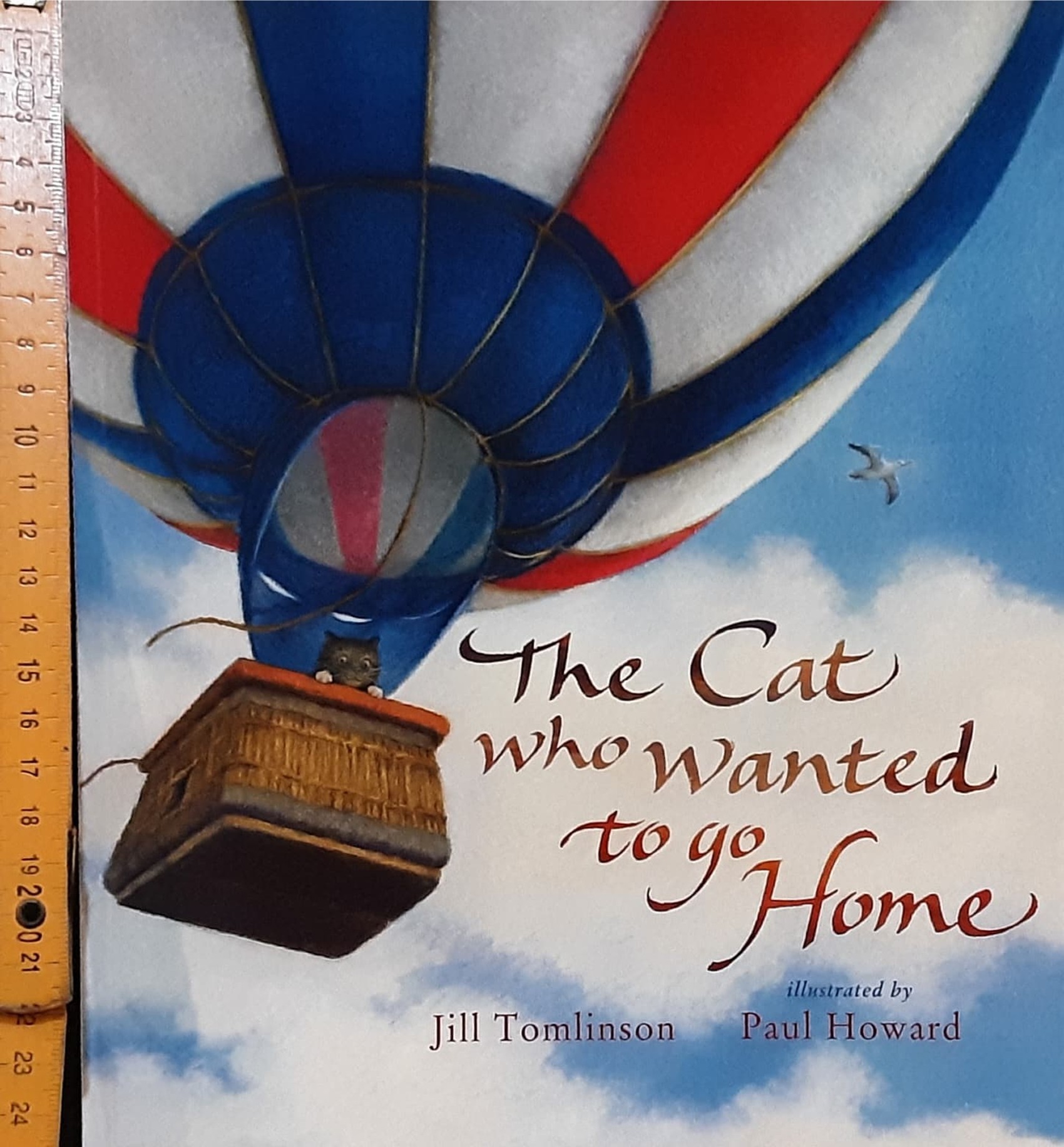 หนังสือนิทานปกอ่อน** 🍅🍓THE CAT WHO WANTED TO GO HOME