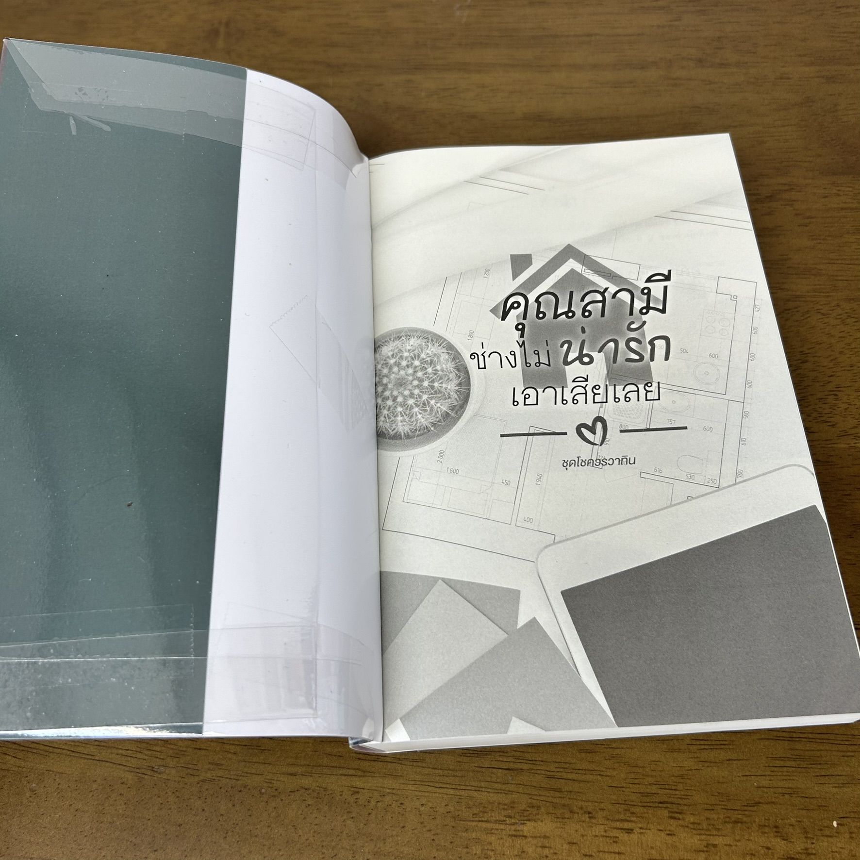 คุณสามีช่างไม่น่ารักเอาเสียเลย .... ลลลา YBSoulmate (มือสอง) นิยาย โรแมนติก ทำมือ