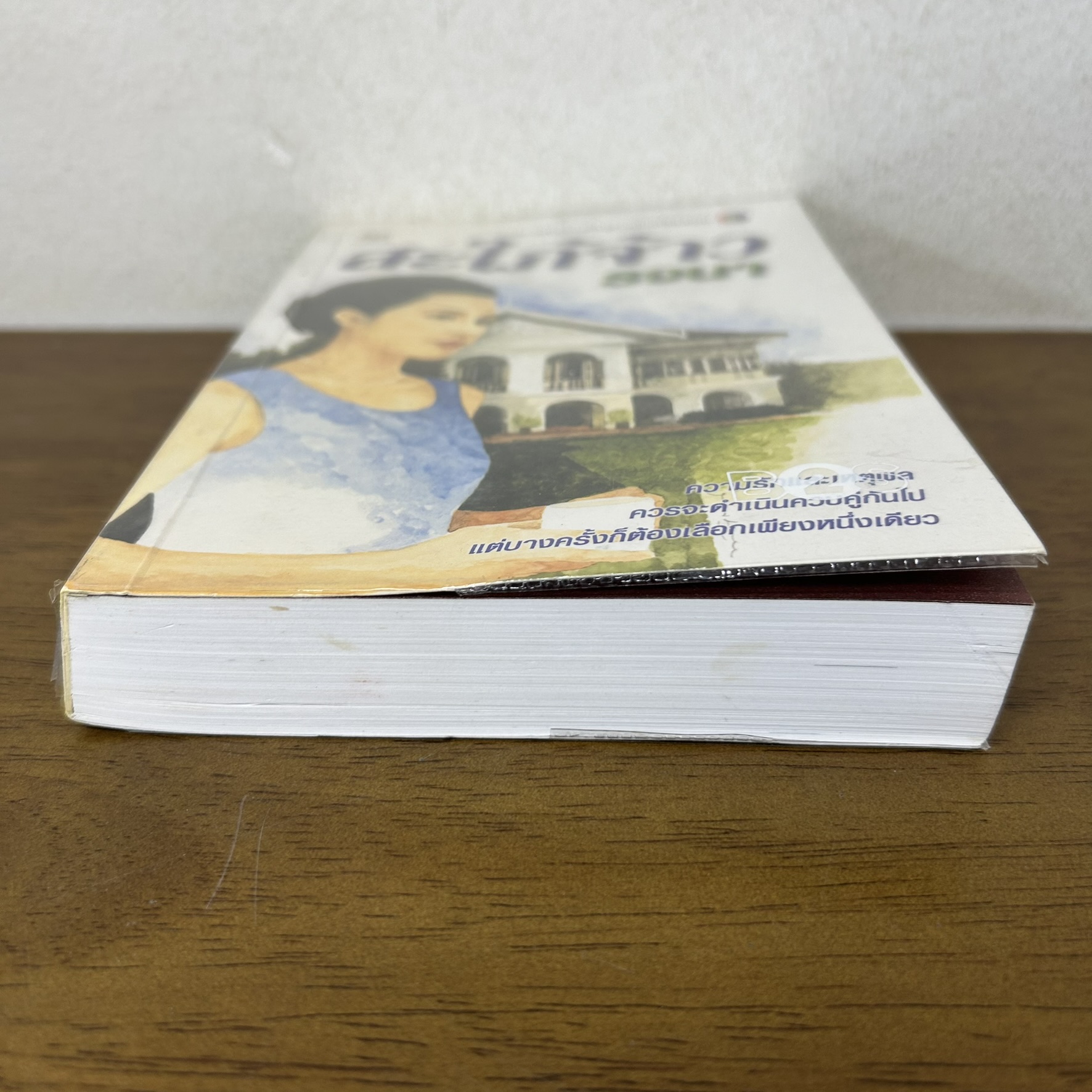 สะใภ้จ้าว ... รจนา (มือสอง) นิยาย นิยายรัก โรแมนติก