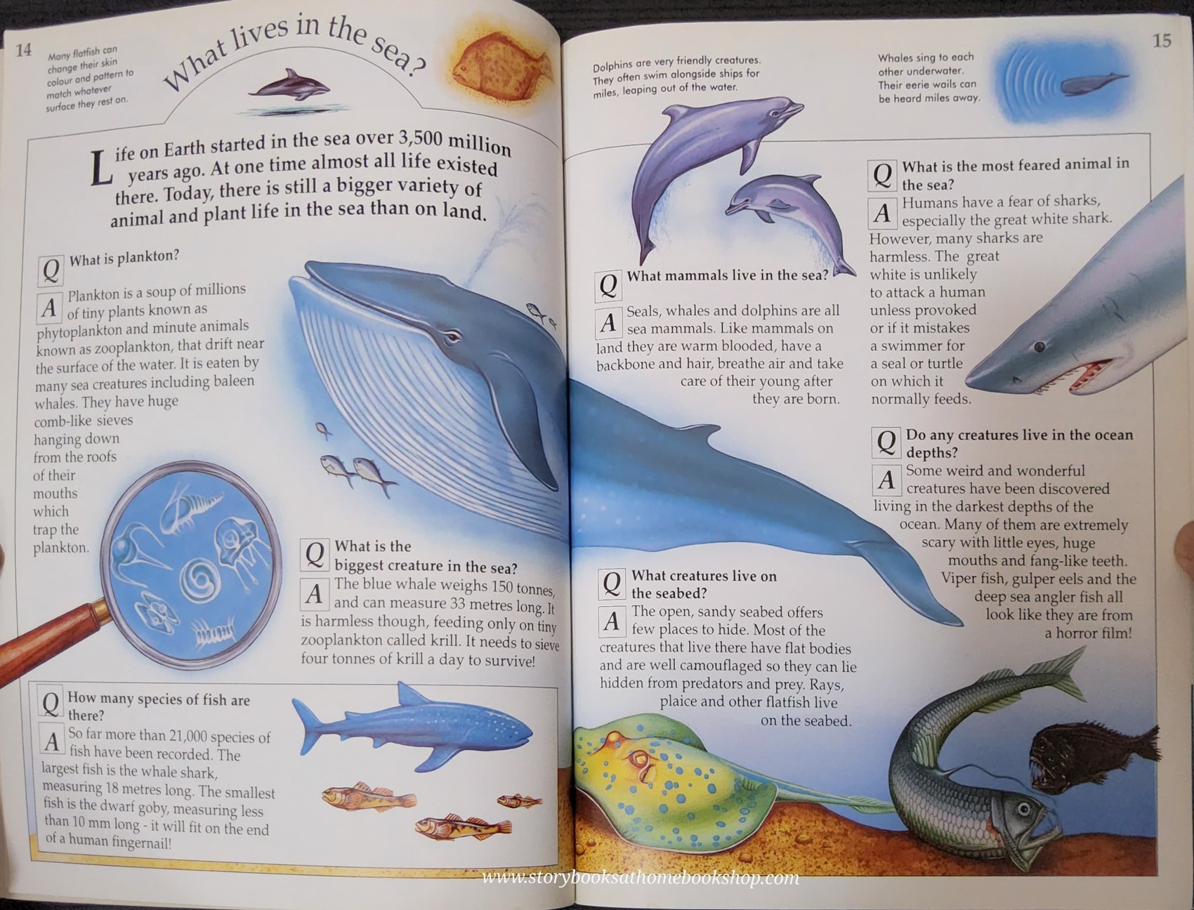 KNOWLEDGE BOOK** ð
ðTHE ZIGZAG BOOK OF THE SEA