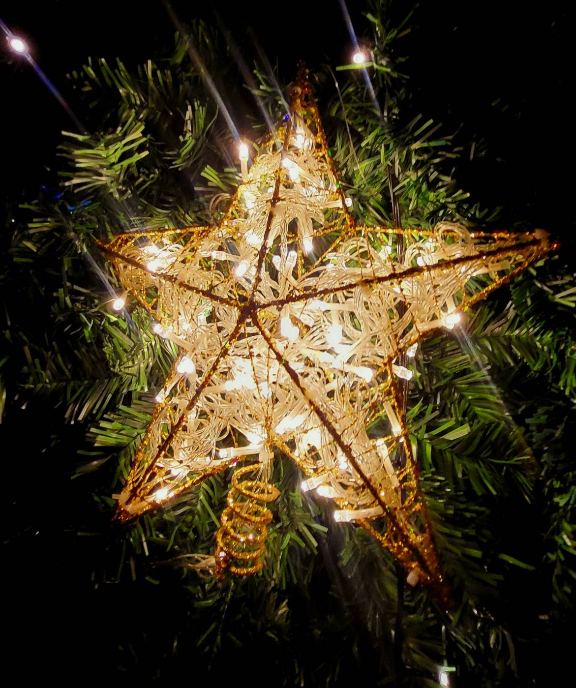 ดาวคริสต์มาส"ดาวยอดมีไฟ"ใช้ต้นเท่าไหร่เลือกขนาดที่เหมาะสมนะครับ