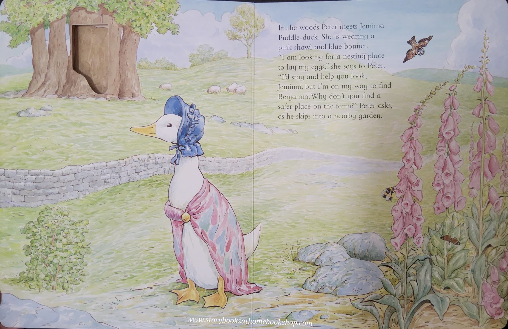 BOARD BOOK** ♥️PETER RABBIT (ไม่มีตัว FIRGER PUPPET ค่ะ)