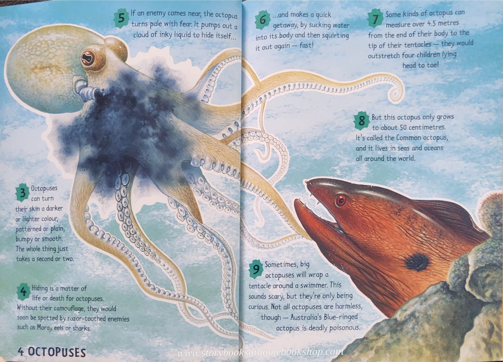 KNOWLEDGE BOOK** ♥️♥️DISGUISES AND SURPRISES