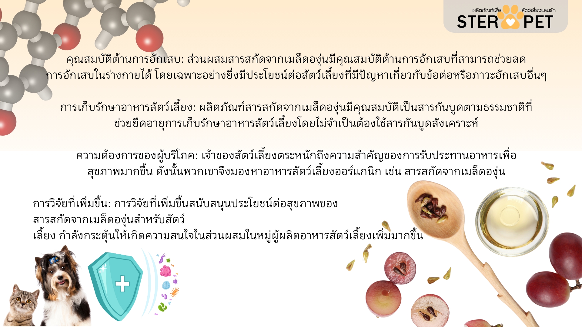 เซตทดลอง สเตอร์ เพ็ท Ster Pet เนื้องอกหมาแมว ก้อนเนื้อหมาแมว มะเร็งสุนัขแมว ลดอักเสบ ลดขนาดก้อนเนื้อ เบื่ออาหาร น้ำหนักลด ไตวายหมาแมว แผลยุบเร็ว ( 15 แคปซูล)