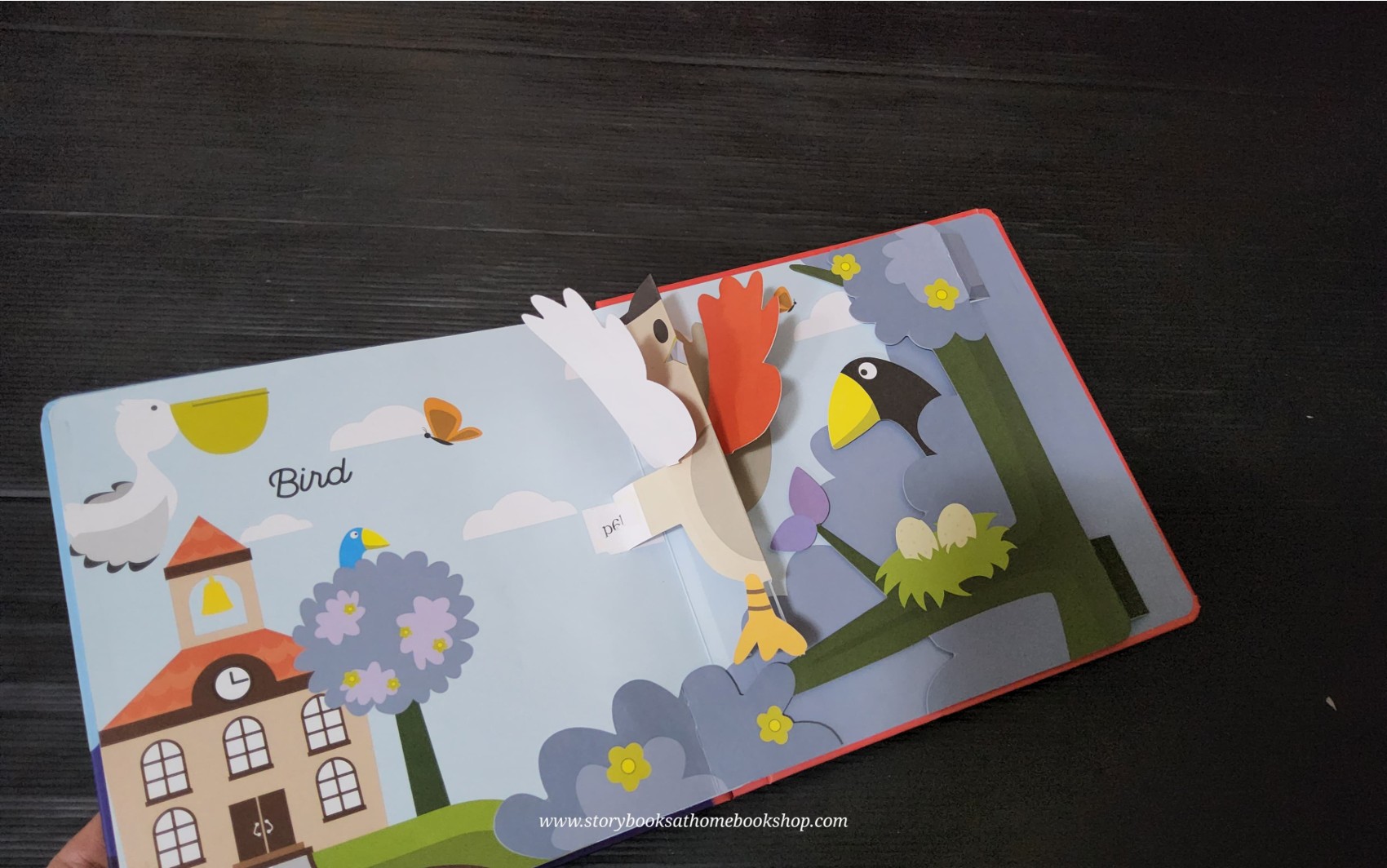 POP-UP BOOK** 🍅🍓MY ANIMAL POP-UP BOOK