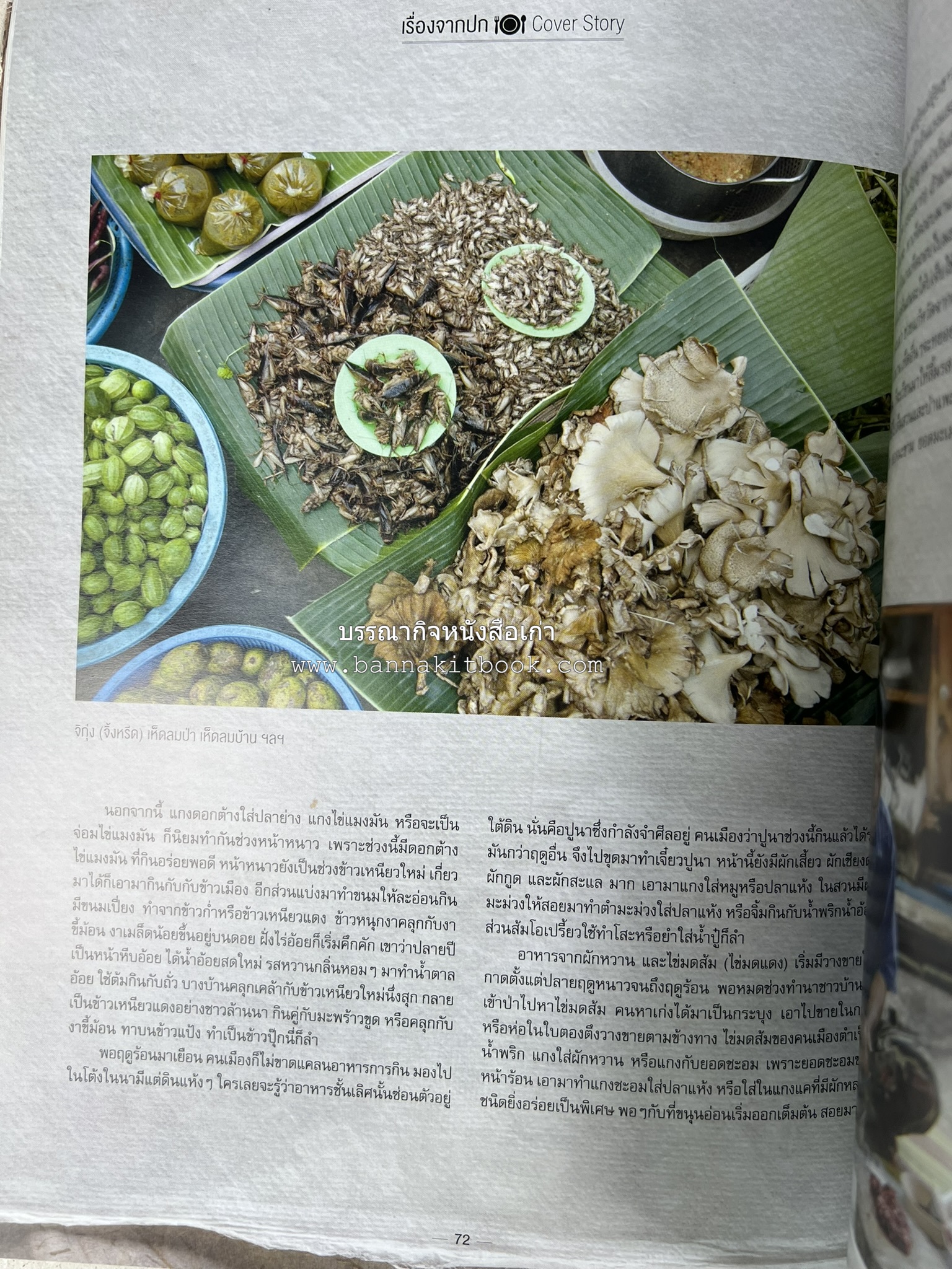 ตำรับอาหารเหนือ ถิ่นล้านนา ของกินบ้านเฮา นิตยสารครัว ฉบับมกราคม 2558.