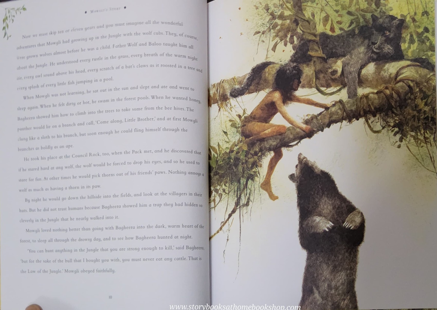 หนังสือนิทานปกแข็ง** ♥️♥️THE JUNGLE BOOK MOWGLI'S STORY