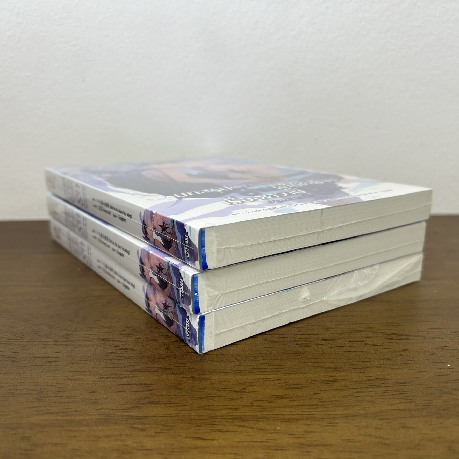 [YAOI] บทสรุปของชายผู้โชคร้ายเรื่องความรัก ... Shi Ba Sui Xiao Tou Ming (มือหนึ่งขีดสัน) นิยายวาย มีดี Meedee