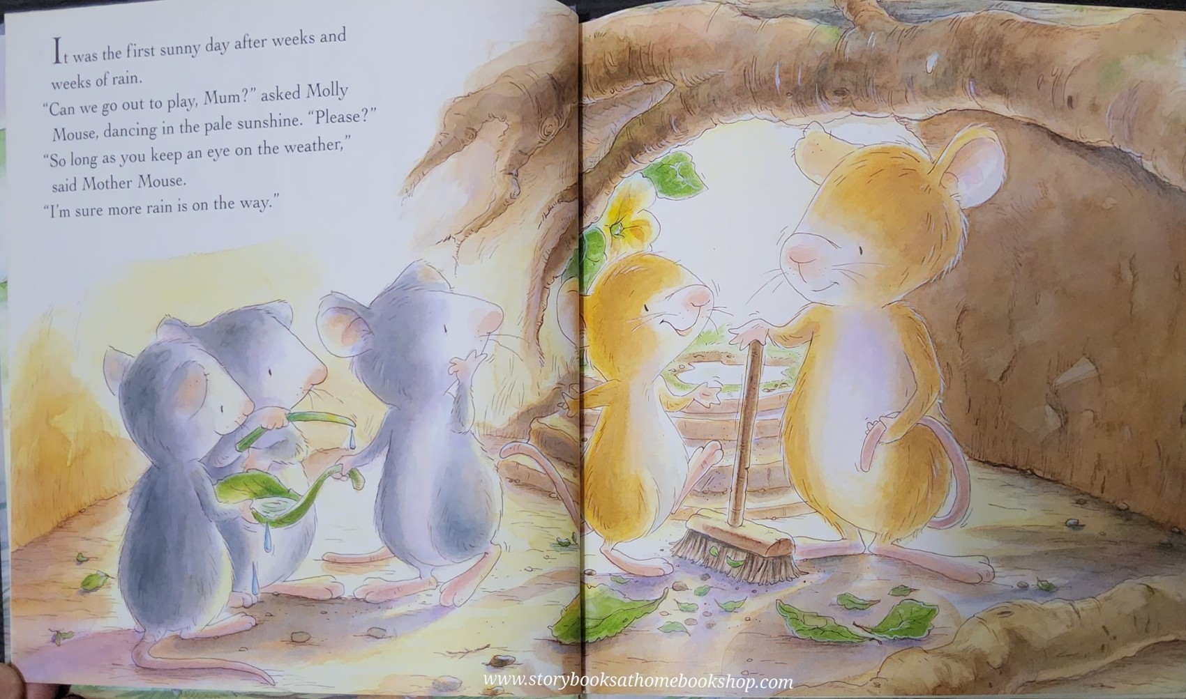 หนังสือนิทานปกแข็ง** 🍅🍓MOLLY AND THE STORM BY CHRISTINA LEESON AND GABY HANSEN