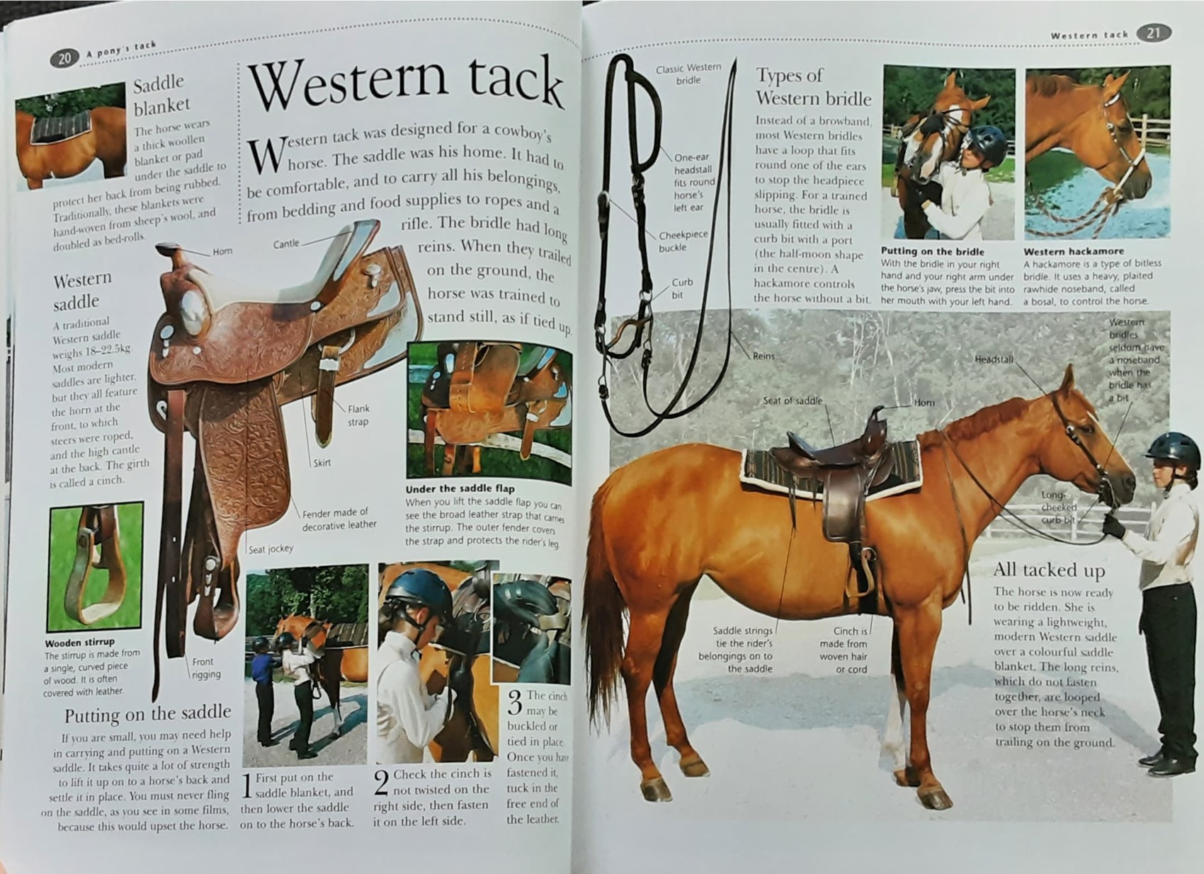 หนังสือความรู้ KINGFISHER RIDING CLUB:FIRST RIDING LESSONS