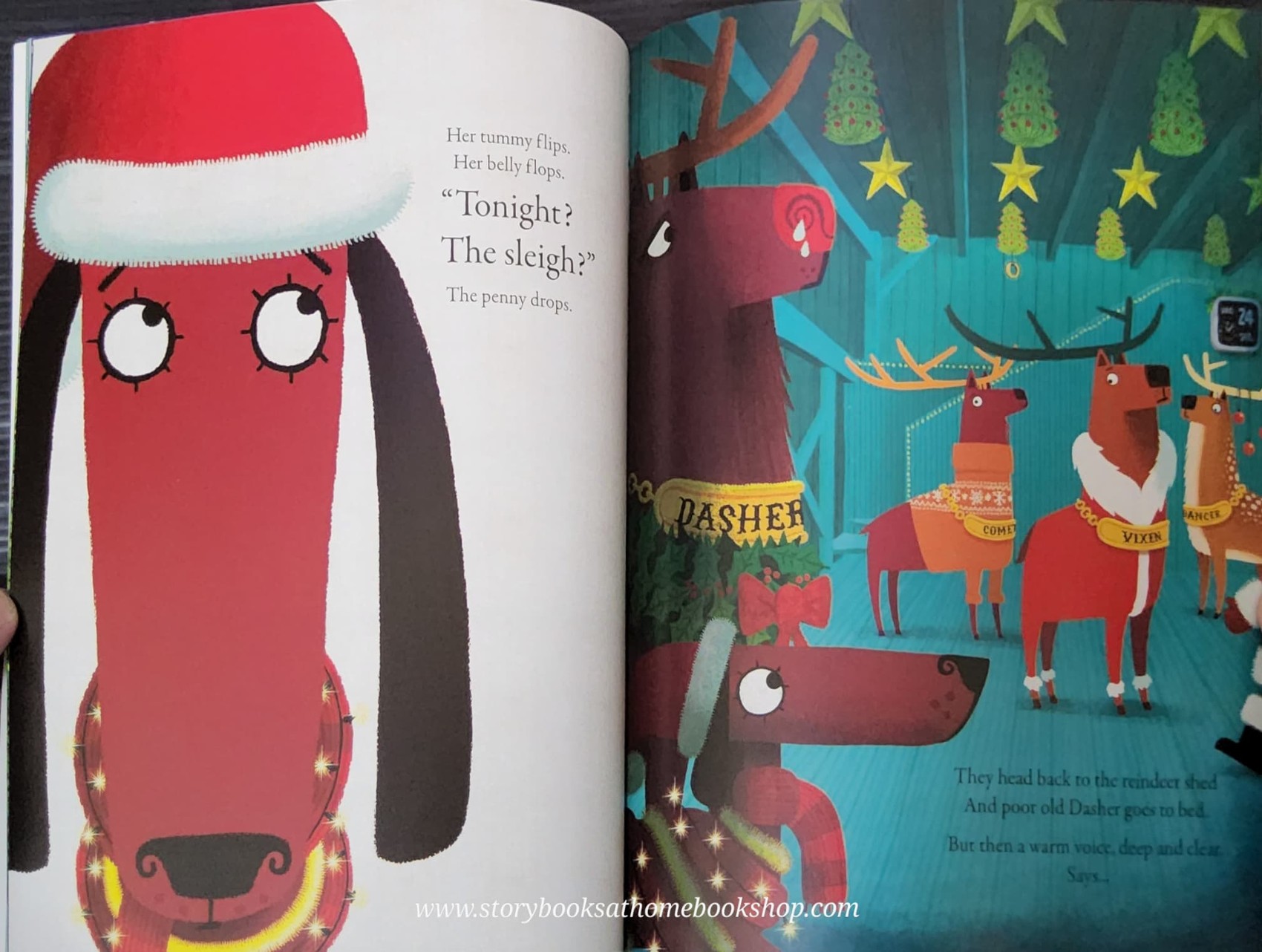 หนังสือนิทานปกอ่อน** 🍅AN ODD DOG CHRISTMAS