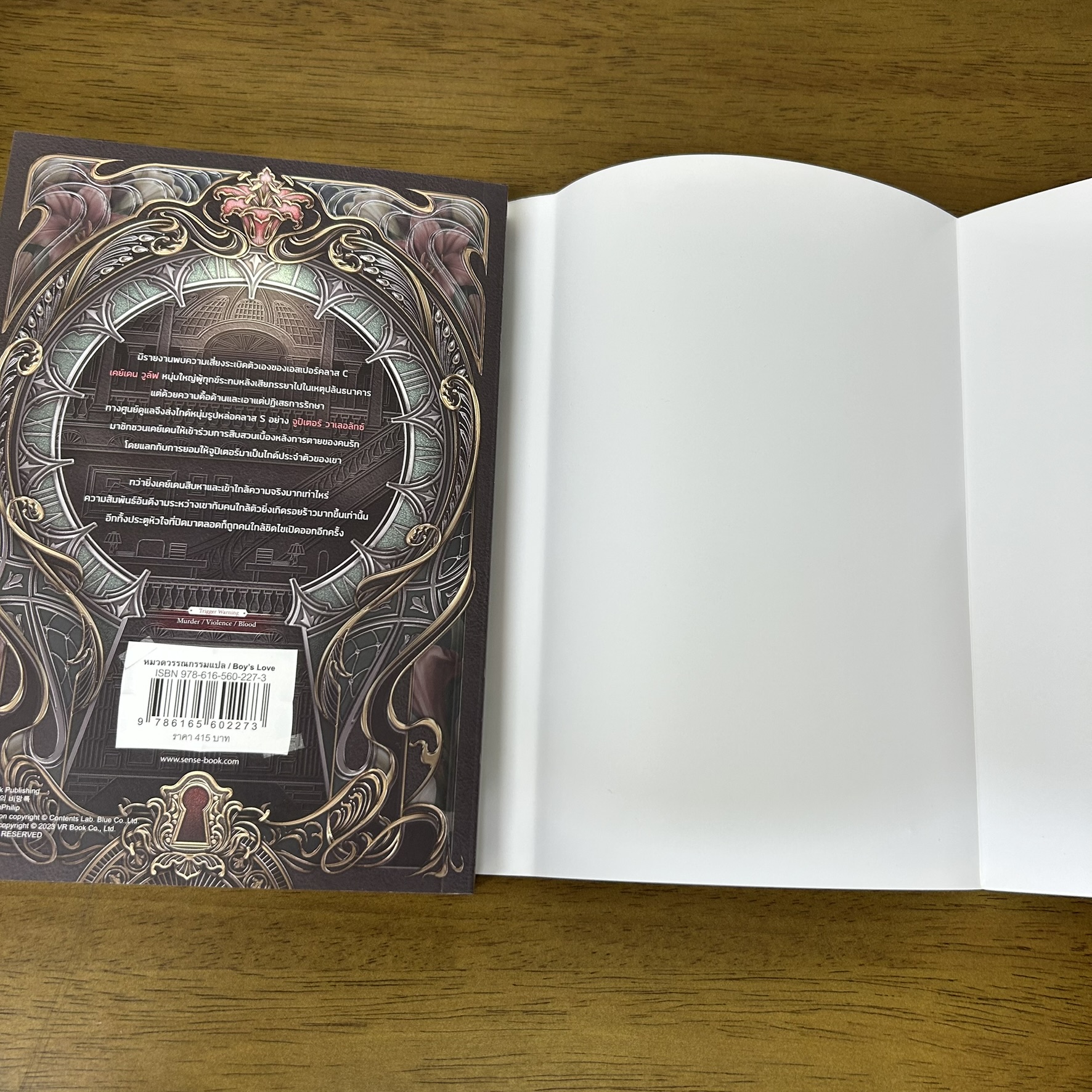 [YAOI] บันทึกของเอสเปอร์คลาส C เล่ม 1-3 จบ ครบชุด ... KimPhilip (มือสอง) นิยายวาย SENSE