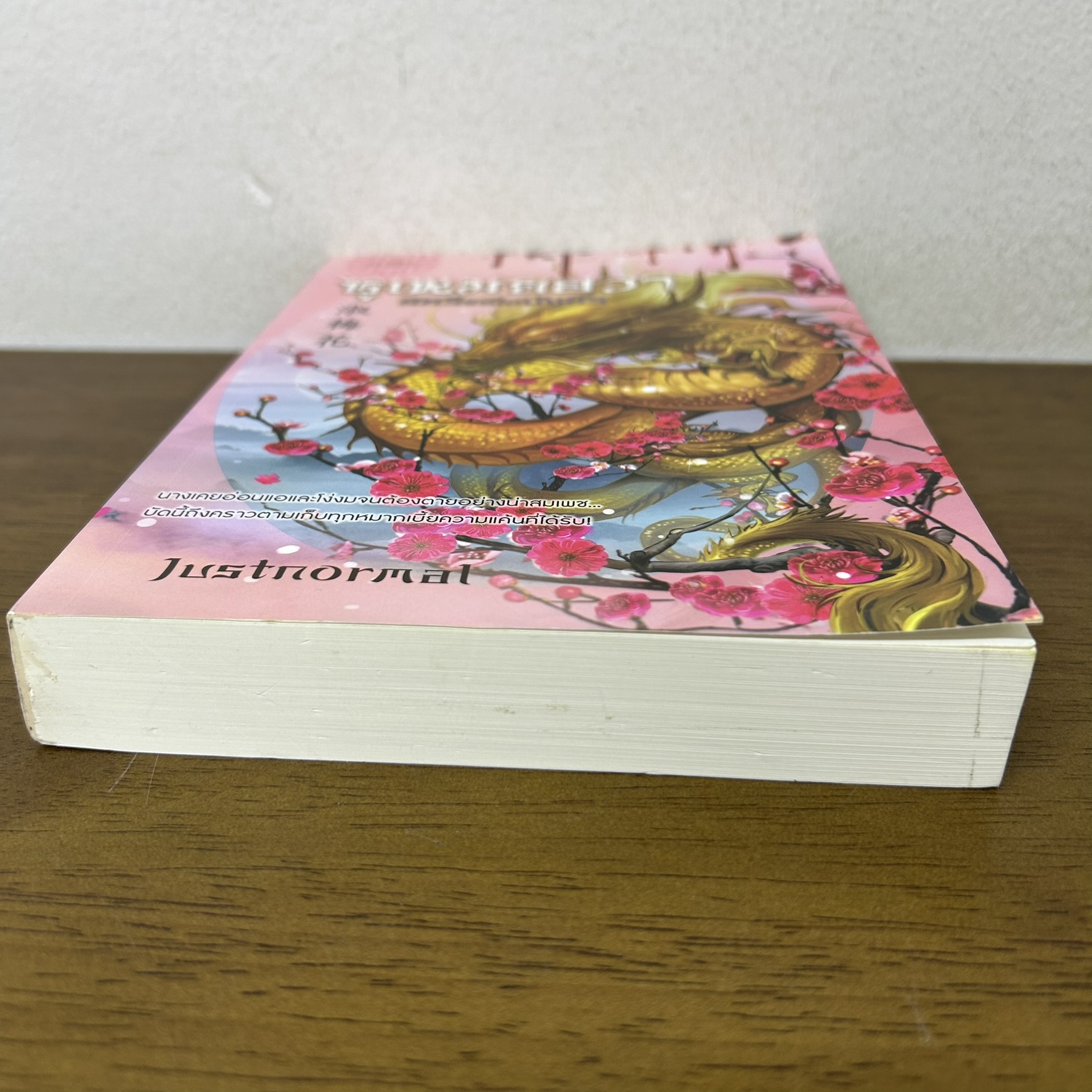 ซูเหมยฮวา สตรีเหนือมังกร ... Justnormal (มือสอง) นิยาย โรแมนติก จีนโบราณ Princess