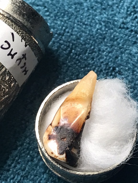 พระทันตธาตุ ครูบาอินก๋วน วัดสอบป๊าด จ.ลำปาง ได้มาจากพ่ออุดม ปัจจุบันอายุ 68 ปี ยังมีชีวิตอยู่ (บันทึก พ.ศ.2567) มีอาชีพขายอุปกรณ์ไฟฟ้าใน อ.เมือง จ,ลำปาง พ่ออุดมเคยรับใช้ครูบาอินก๋วน ระหว่างปี 2549-2557 พระทันตธาตุองค์นี้พ่ออุดมได้รับมาเมื่อ ปี 2554