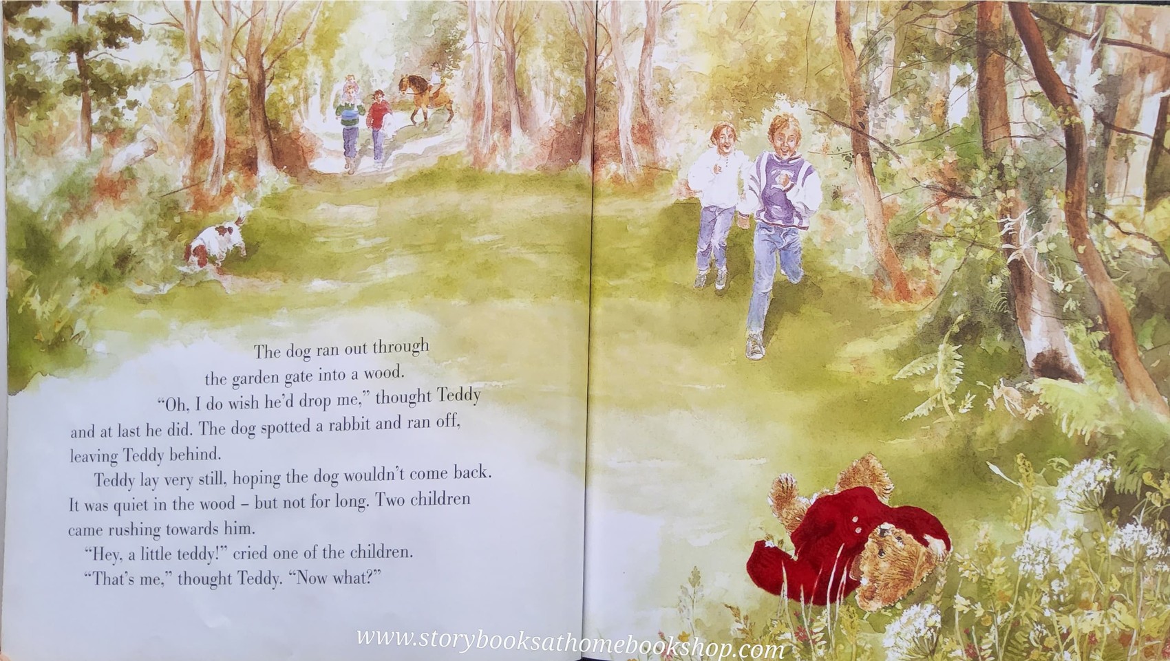 หนังสือนิทานปกอ่อน TOUCH AND FEEL** 🍅LITTLE TEDDY LEFT BEHIND♥️♥️