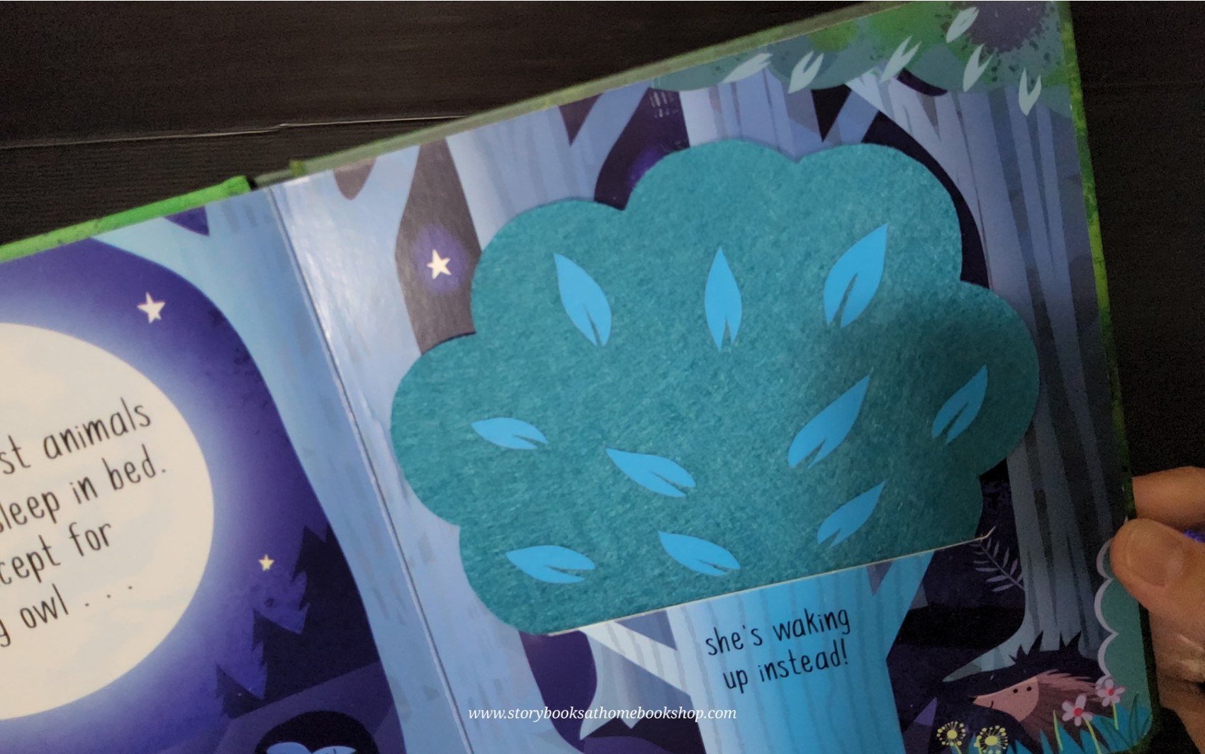 TOUCH AND FEEL BOARD BOOK** ♥️HIDE AND SEEK IN THE FOREST