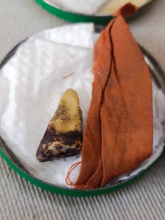 พระทันตธาตุครูบาสองเมือง วัดหล่ายแก้ว อ.บ้านโฮ่ง จ.ลำพูน พระอนันต์ เป็นศิษย์ครูบาสองเมือง ท่านสิ้นชีวิตแล้วเมื่อปี 2539 หากมีชีวิตอยู่ปัจจุบันจะมีอายุ 88 ปี (บันทึก พ.ศ.2566) ได้มอบให้ สจ.บอย อายุ 48 ปี อยู่หมู่บ้านเรือน อ.ป่าซาง จ.ลำพูน