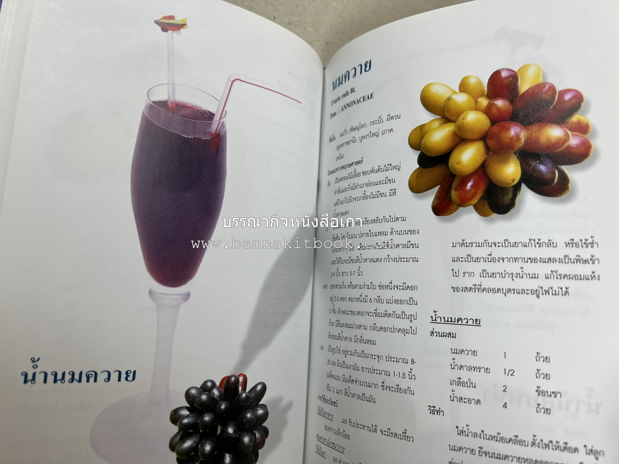 น้ำสมุนไพร 108 สูตร-วิธีทำจากผักพื้นบ้านและผลไม้ไทย โดย สถาบันการแพทย์แผนไทย.