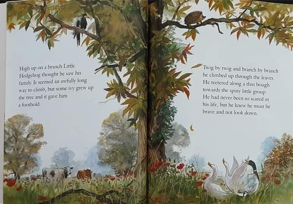 หนังสือนิทานปกอ่อน** 🍅🍓THE PRICKLY HEDGEHOG