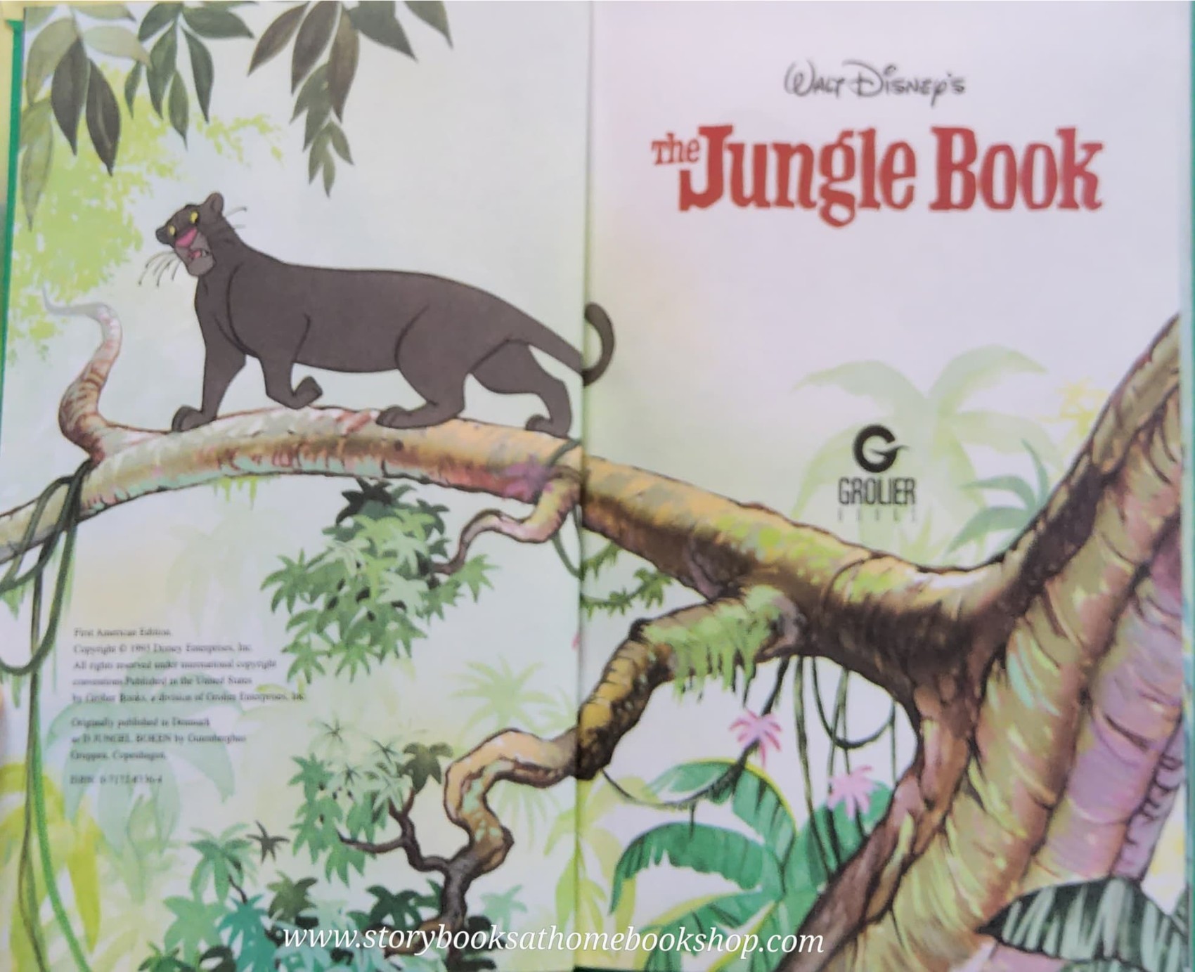 หนังสือนิทานปกแข็ง** 🍅🍅DISNEY THE JUNGLE BOOK