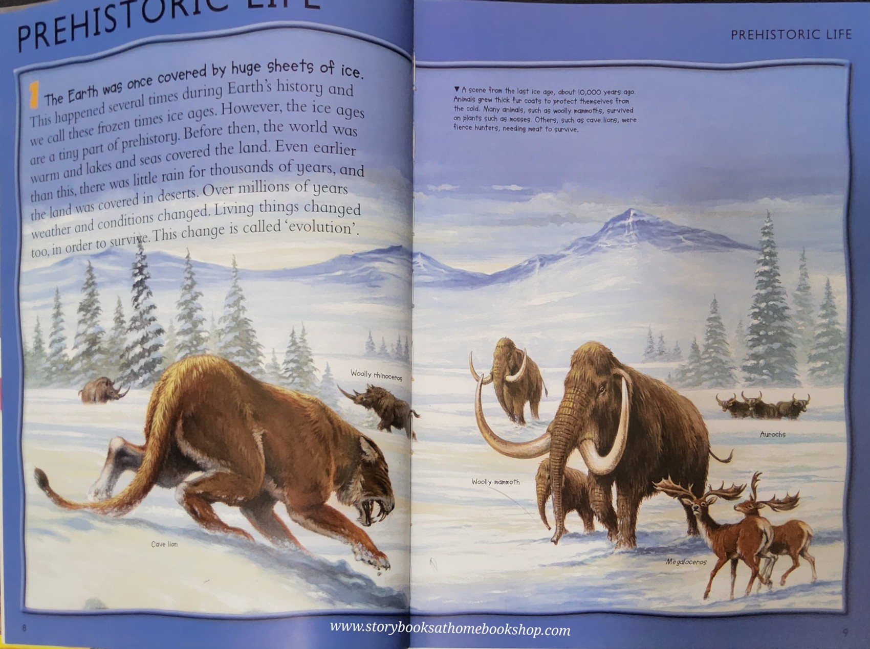 KNOWLEDGE BOOK** ♥️CHILDREN'S ENCYCLOPEDIA DINOSAURS AND PREHISTORIC LIFE