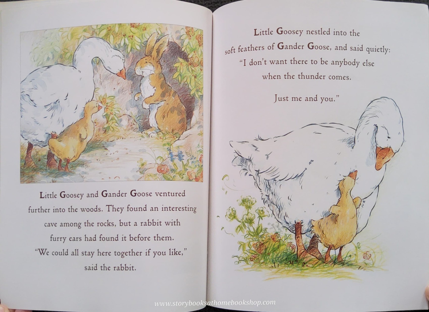 หนังสือนิทานปกอ่อน** 🍅🍅JUST YOU AND ME BY SAM MCBRATANEY