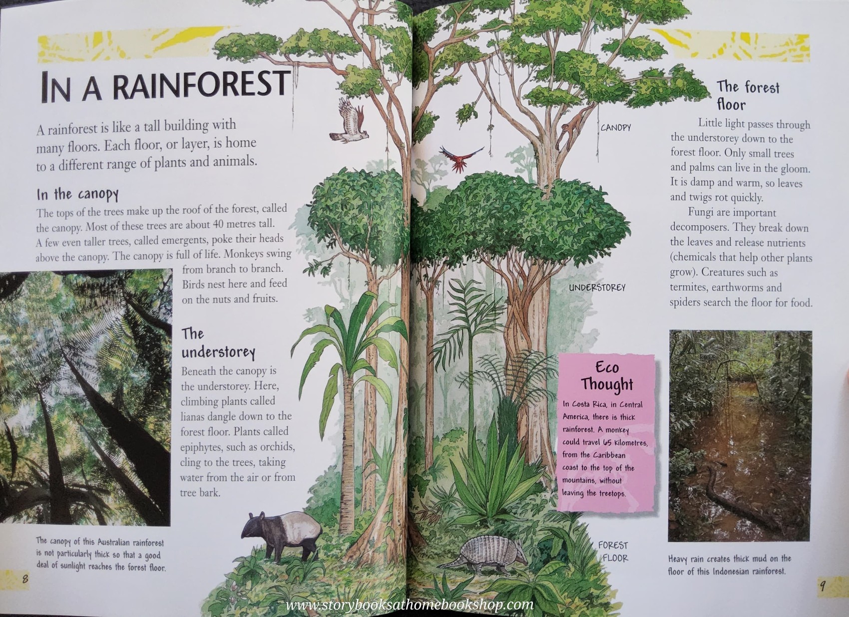 KNOWLEDGE BOOK** ♥️♥️EARTH WATCH SAVING THE RAINFOREST