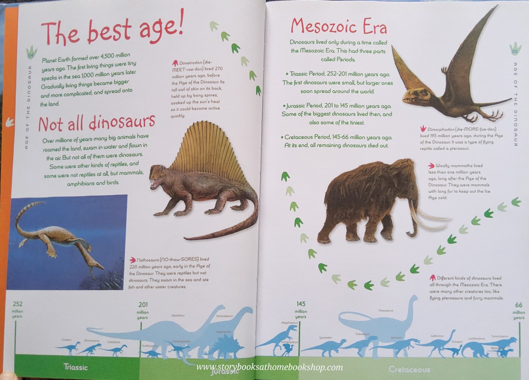 Knowledge and Puzzle Book** 🍓🍓 NATURAL HISTORY MUSEUM:AGE OF THE DINOSAUR