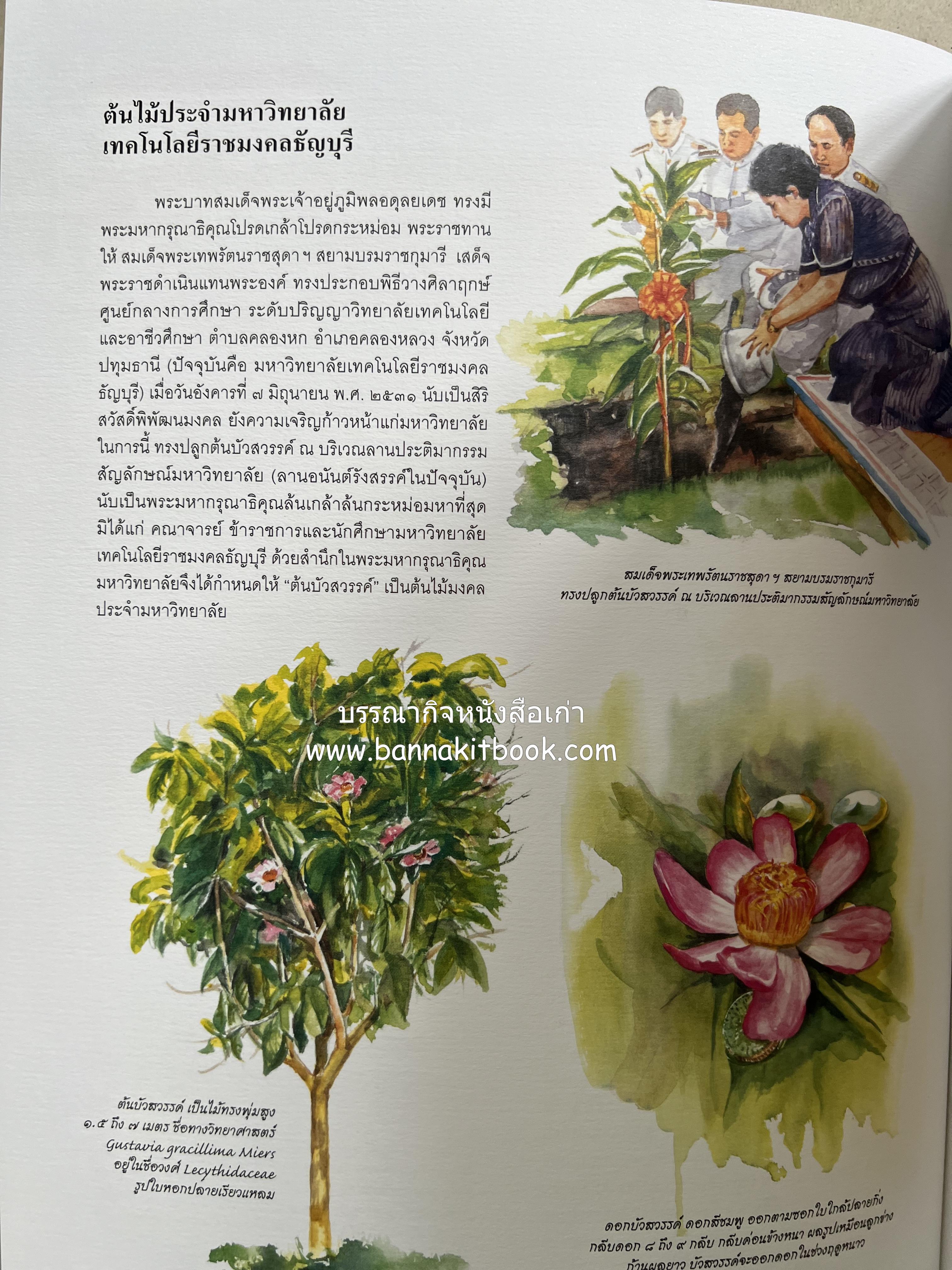 ๔๐ ปี มหาวิทยาลัยเทคโนโลยีราชมงคลธัญบุรี (เล่าเรื่องราววิวัฒนาการของมหาวิทยาลัยภาพวาดสีน้ำทั้งเล่ม).