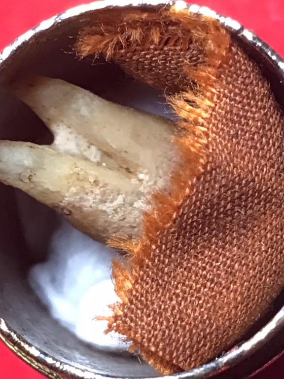 พระทันตธาตุครูบาแสง วัดร่องช้าง จ.ลำพูน ได้มาจากลุงประสิทธิ์ อดีตนายอำเภอ เวียงหนองล่อง อายุ 74 ปี เล่าว่าได้มา เมื่อสมัยที่ท่านเป็นปลัดอำเภอ อ.ป่าซาง เมื่อปี 2532 ได้จากผู้ช่วยผู้ใหญ่บ้านใน อ.ป่าซาง ซื่อว่าวิโรจน์ซึ่งมีศักดิ์เป็นหลานครูบาแสง