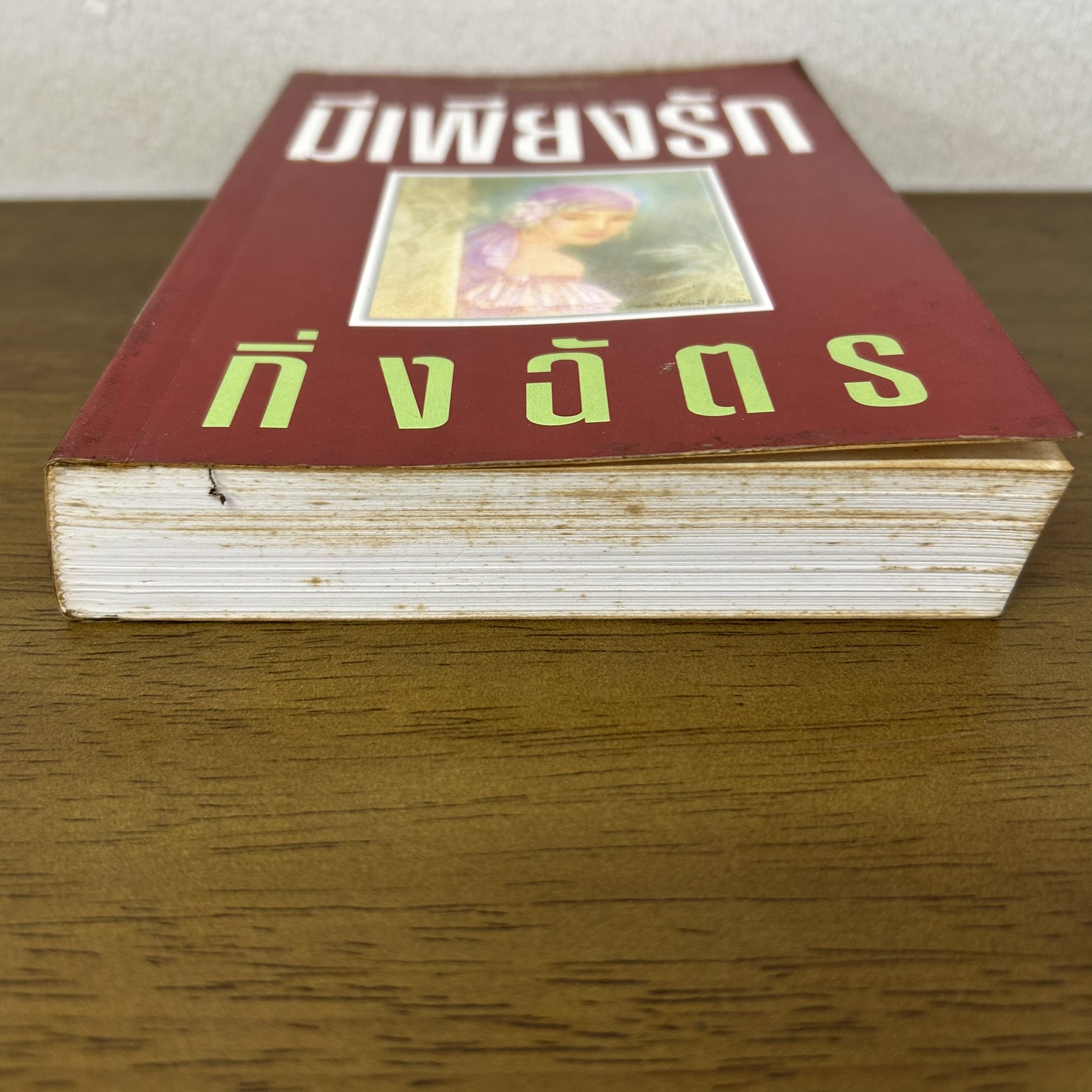 มีเพียงรัก ... กิ่งฉัตร (มือสอง) นิยาย โรแมนติก อมรินทร์