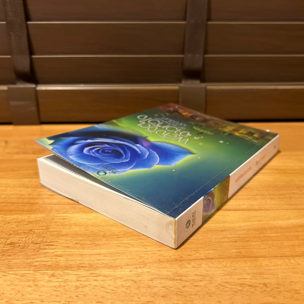 พลังจิตจ้าวหัวใจ ... มณีจันท์ (มือสอง) นิยาย โรมานซ์ พลอยวรรณกรรม