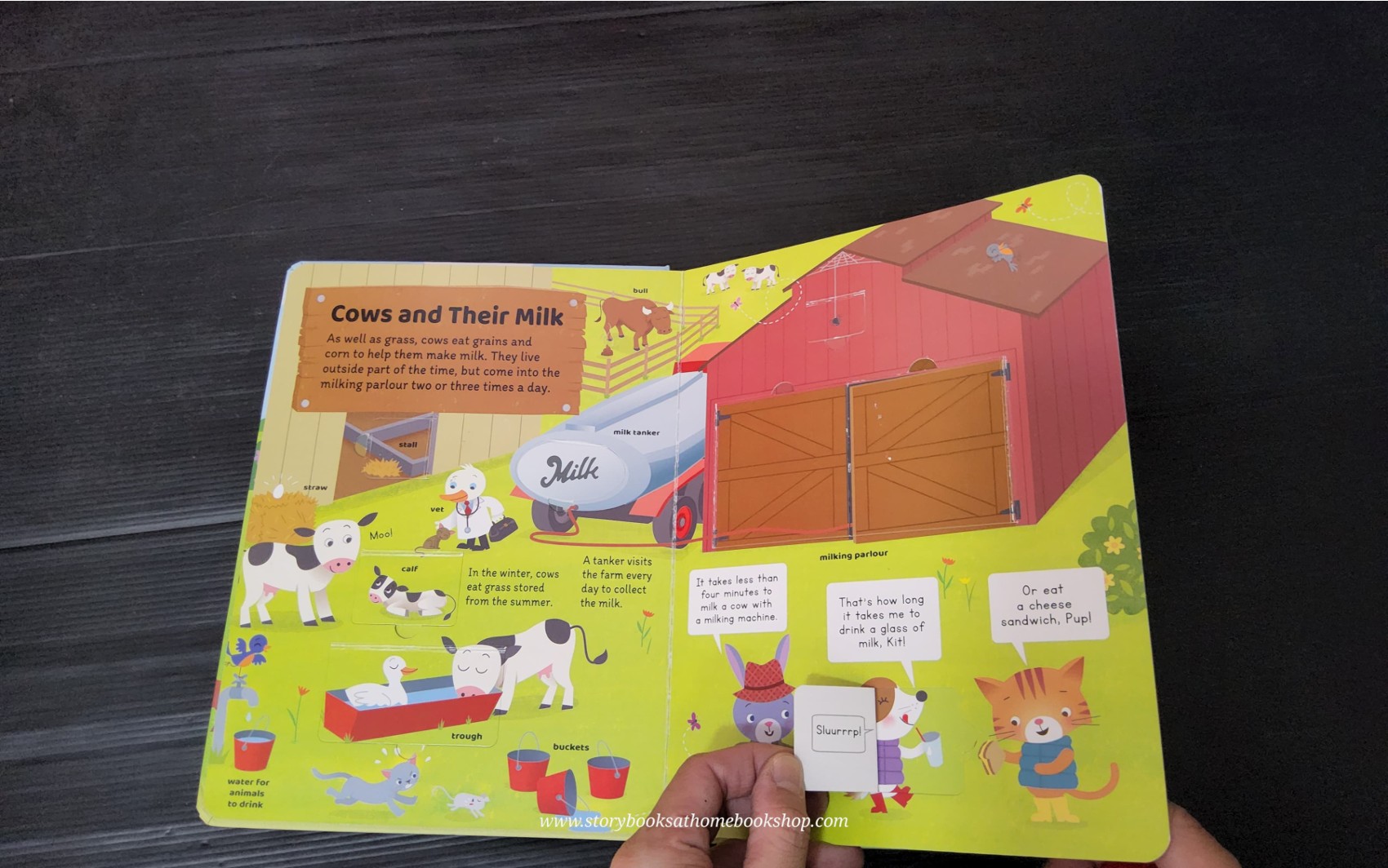 FLAPS BOARD BOOK ** 🍅🍅TOWN AND ABOUT FARM