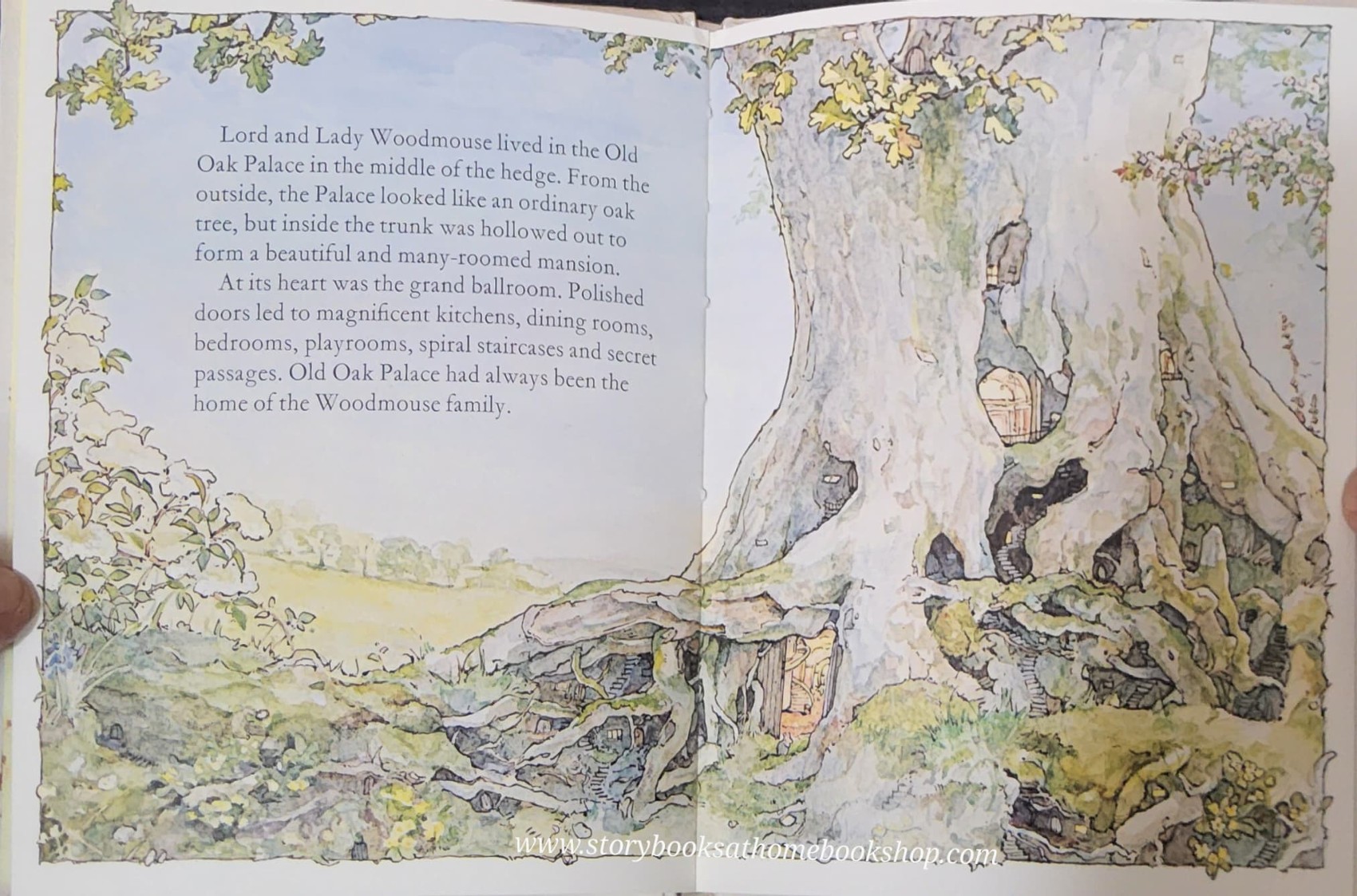 หนังสือนิทานปกแข็ง** 🍅🍓BRABLY HEDGE SPRING STORY BY JILL BARKLEM