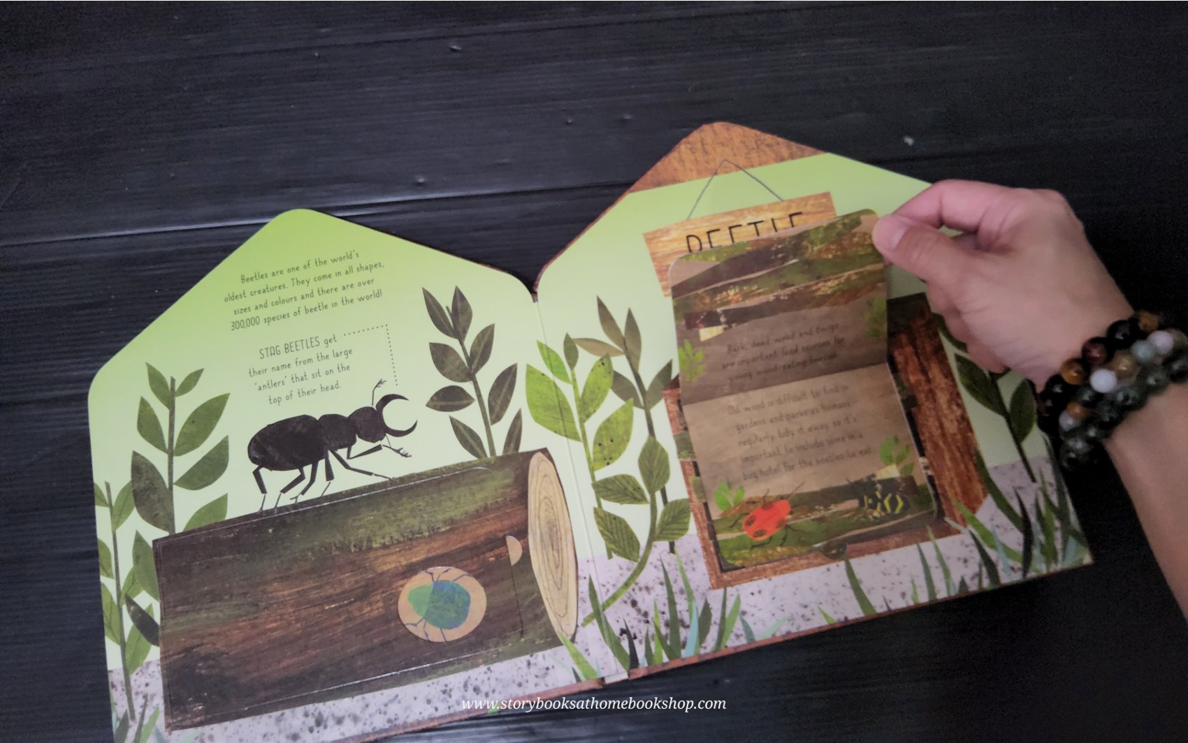 FLAP BOARD BOOK** 🍓🍓BUG HOTEL