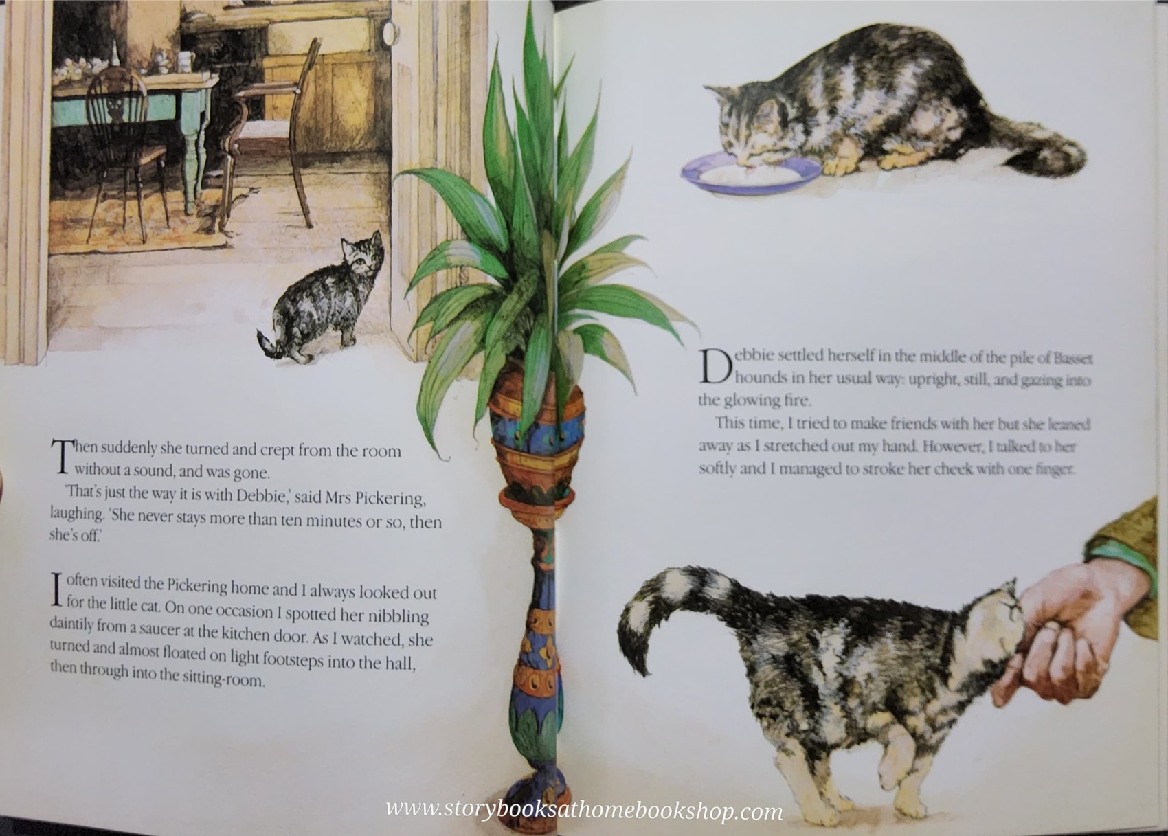 หนังสือนิทานปกอ่อน** 🍅🍅THE CHRISTMAS DAY KITTEN BY JAMES HERRIOT.RUTH BROWN♥️♥️