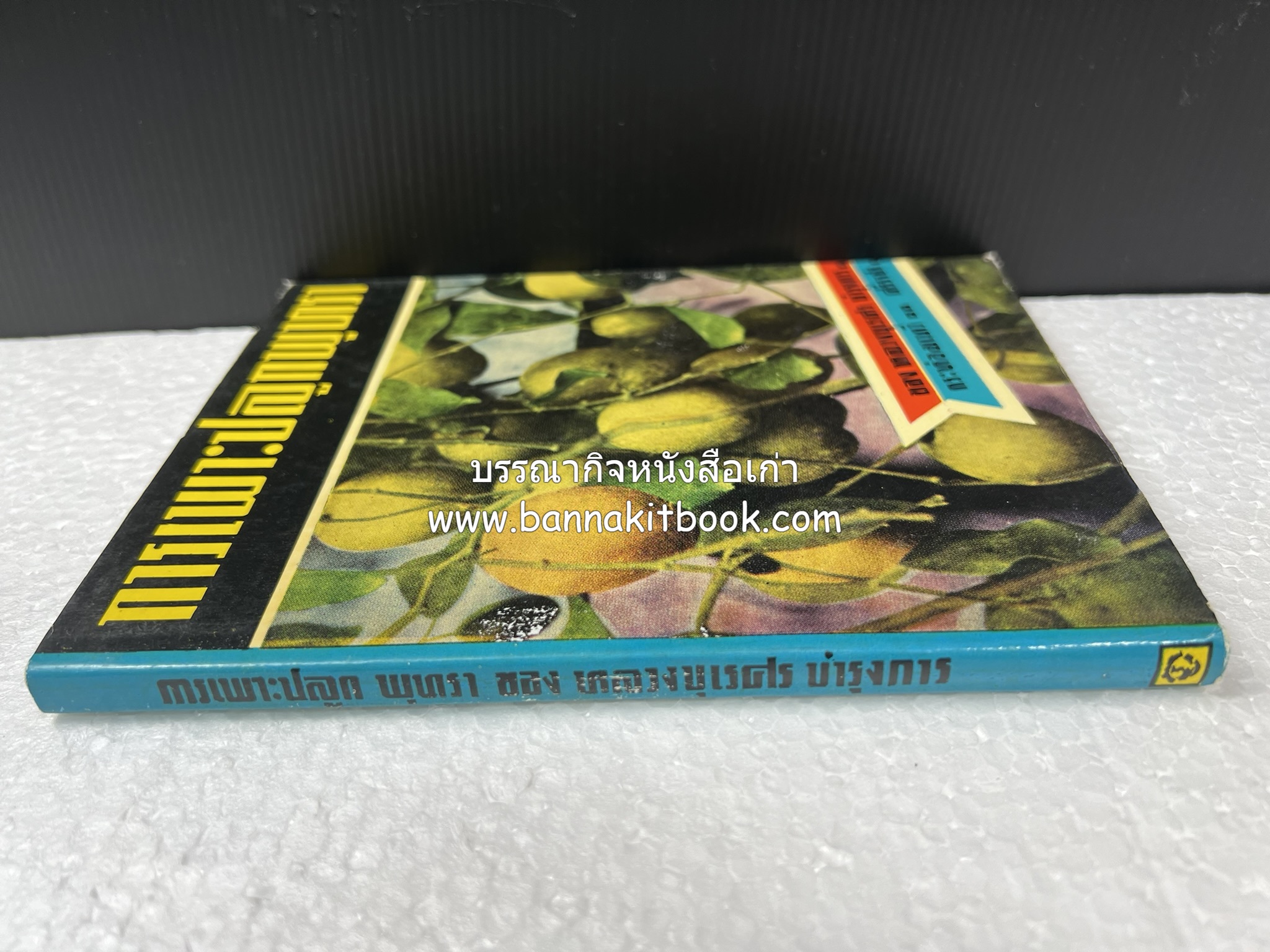 การเพาะปลูกพุทรา ตำราชุดเกษตรกรรม ของ หลวงบุเรศบำรุงการ.