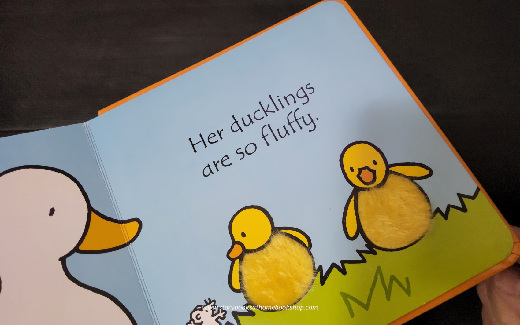 Touch and Feel Board Book** 🍅🍓That's not my DUCK...