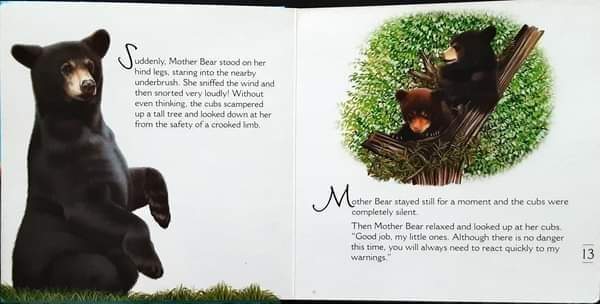 BOARD BOOK** 🍅🍓WE ARE BEARS