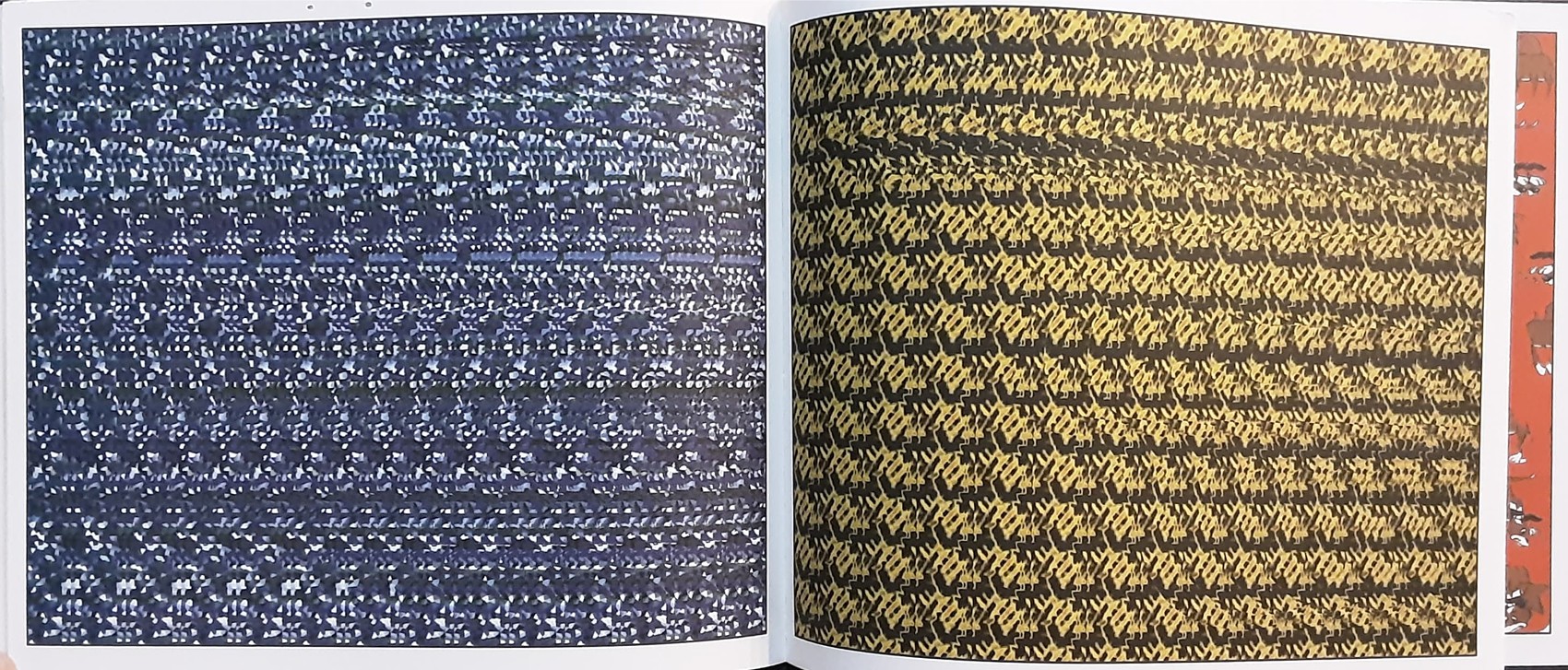 PUZZLE BOOK** 🍅🍓EYE ILLUSIONS